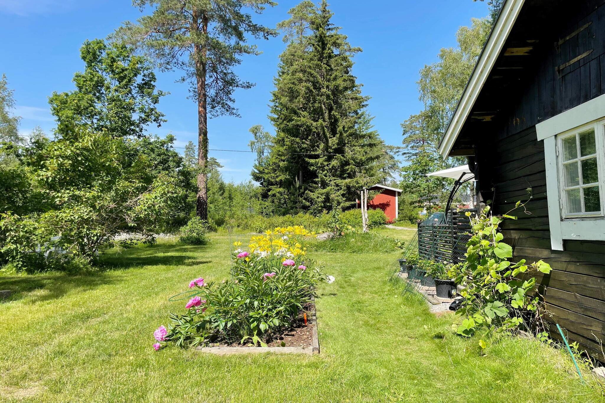 Maison de vacances pour 4 a RIMBO-By Traum - Extérieur