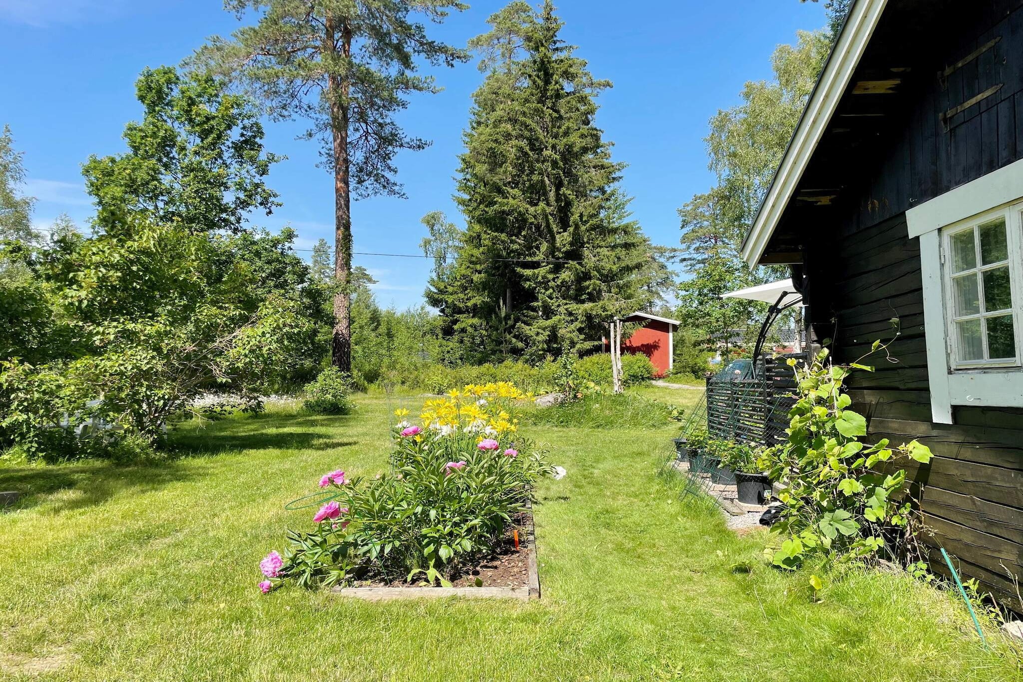 Maison de vacances pour 4 a RIMBO-By Traum - Extérieur