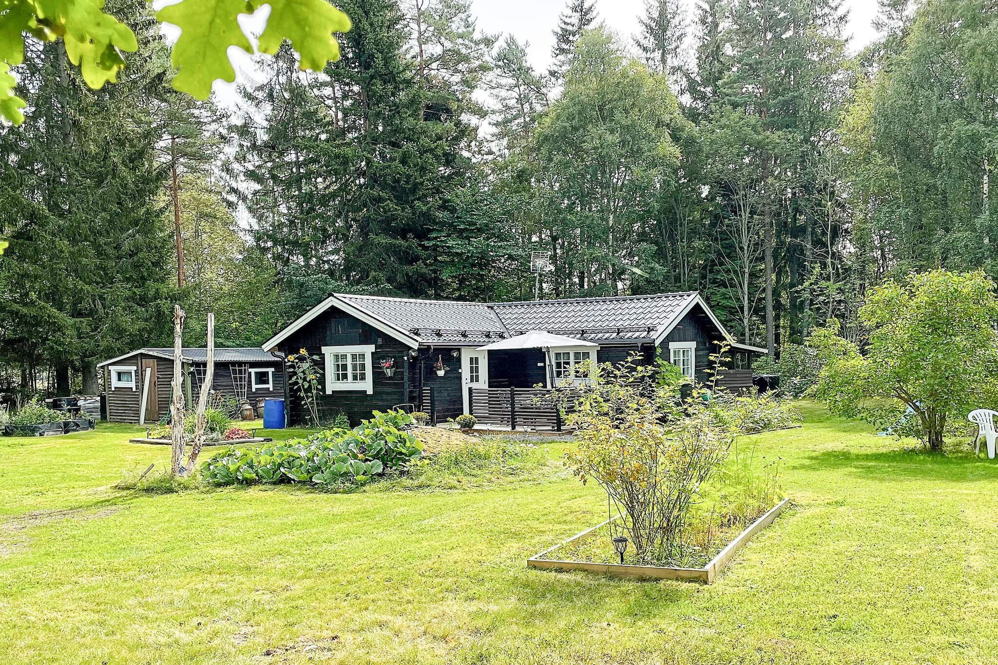 Maison de vacances pour 4 a RIMBO-By Traum - Extérieur