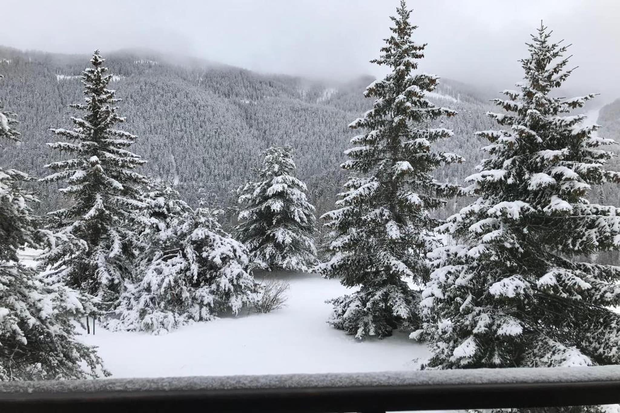 Le Mont d'Auron 3-Area winter 20km
