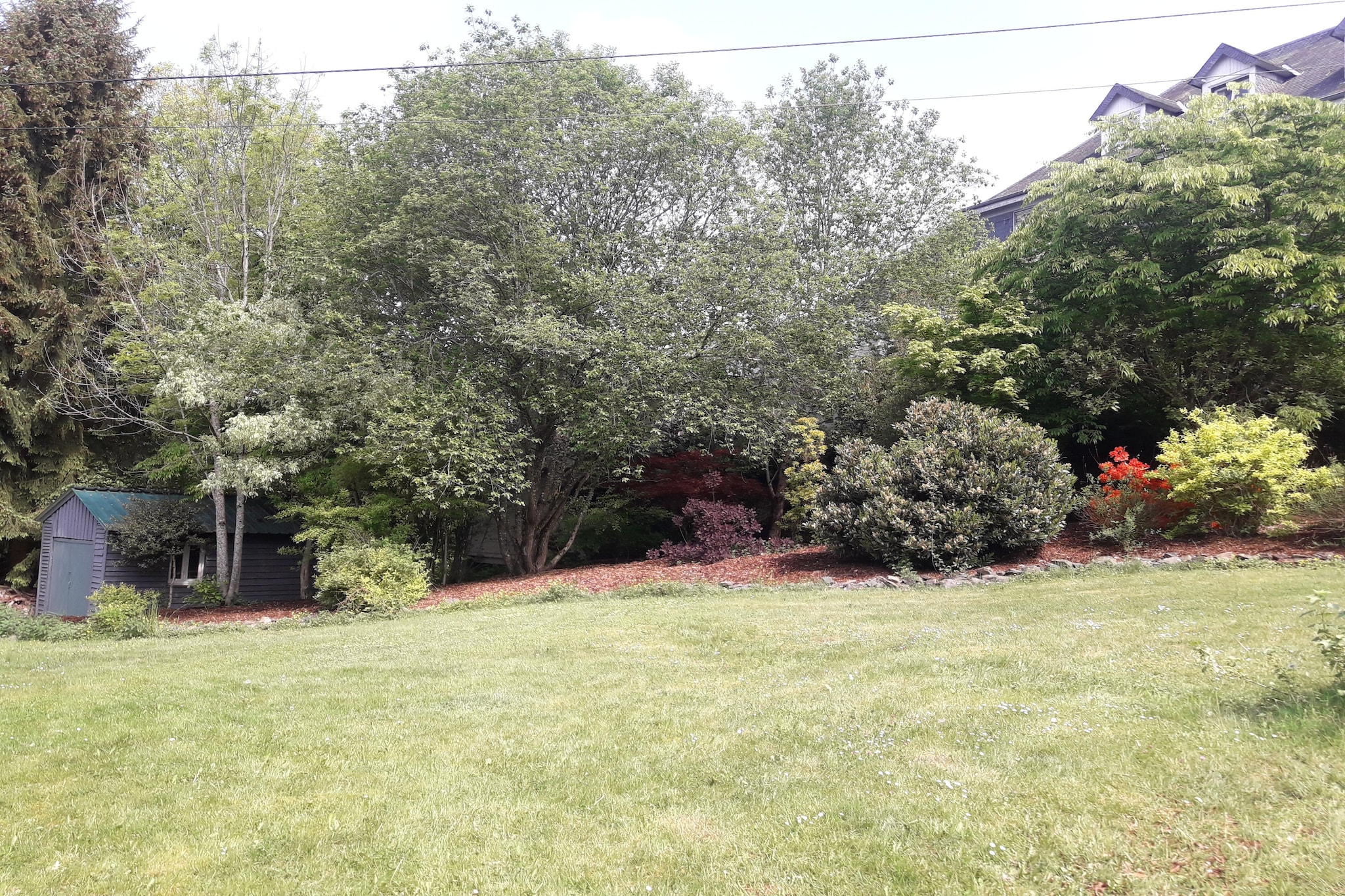 Garden Summer