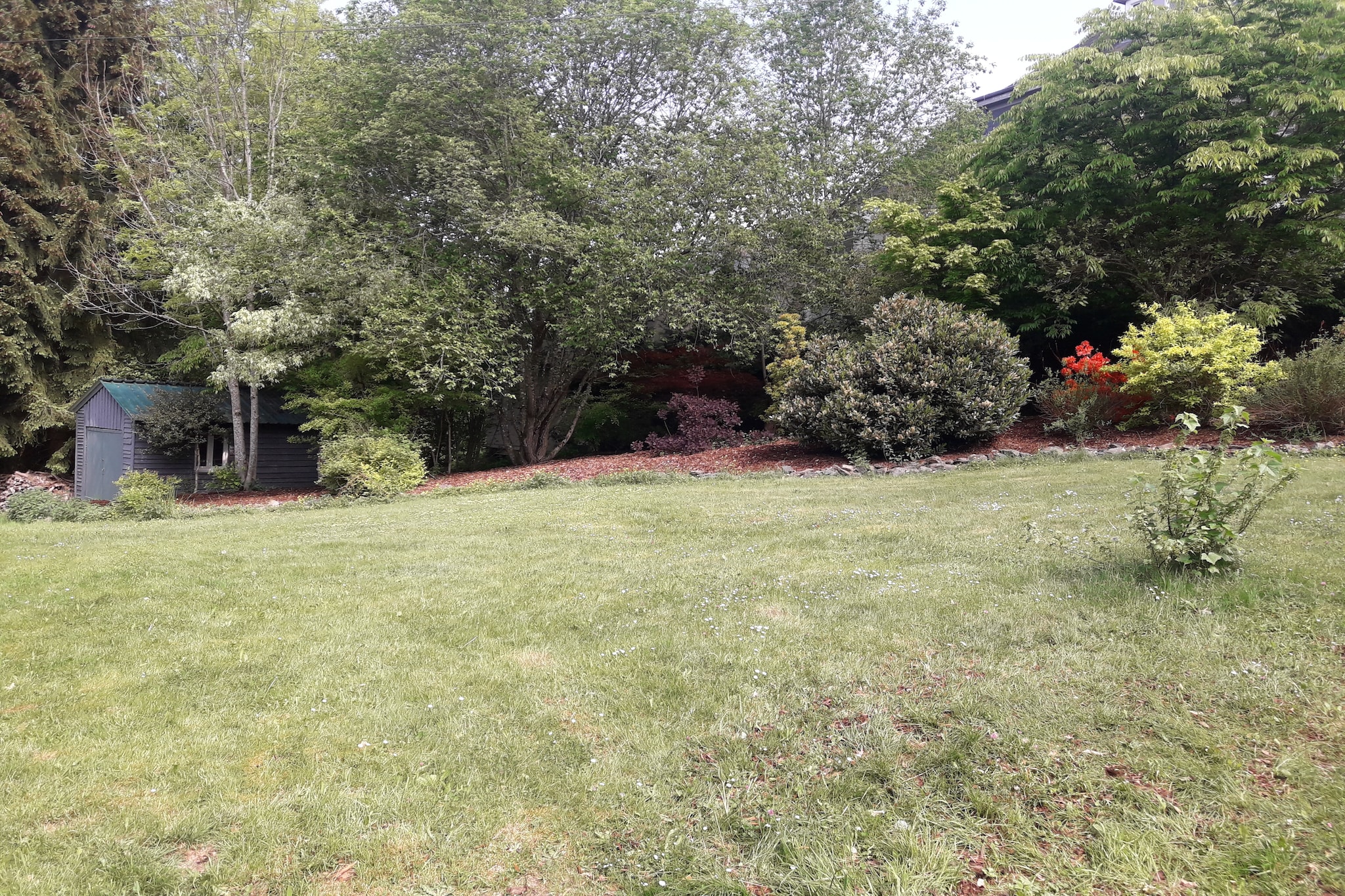 Garden Summer