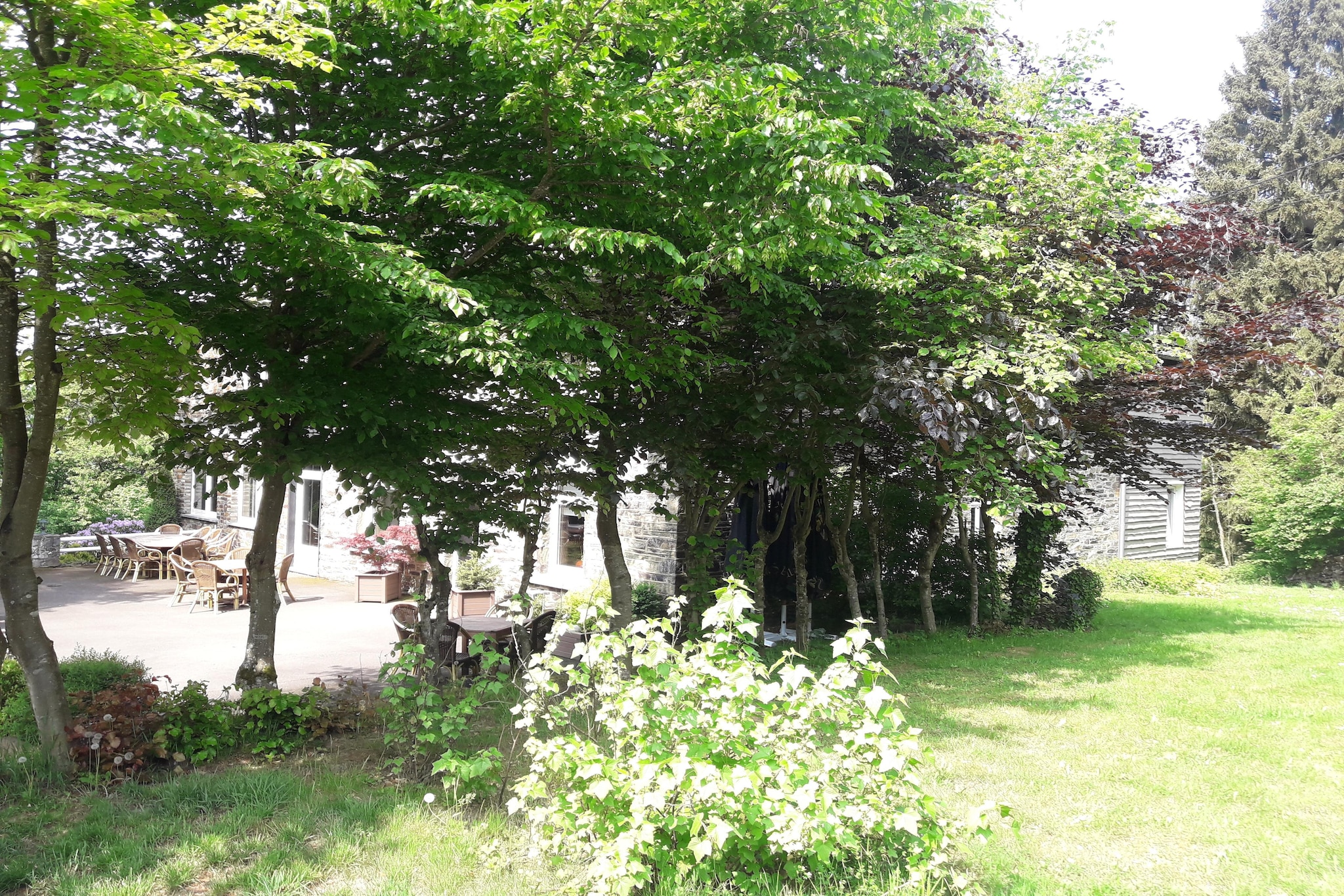 Garden Summer
