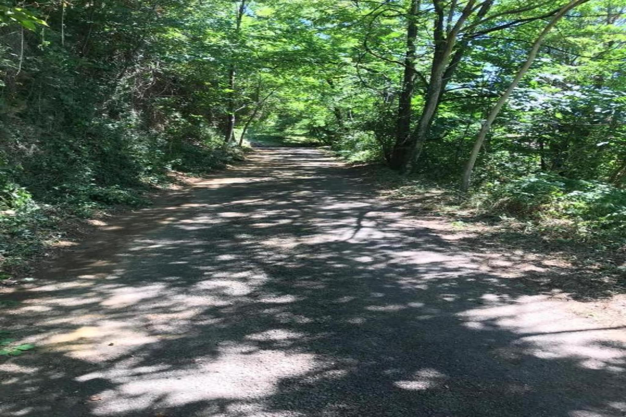 APPARTEMENT LES BROUSSES/LINDE-Gebieden zomer 20km