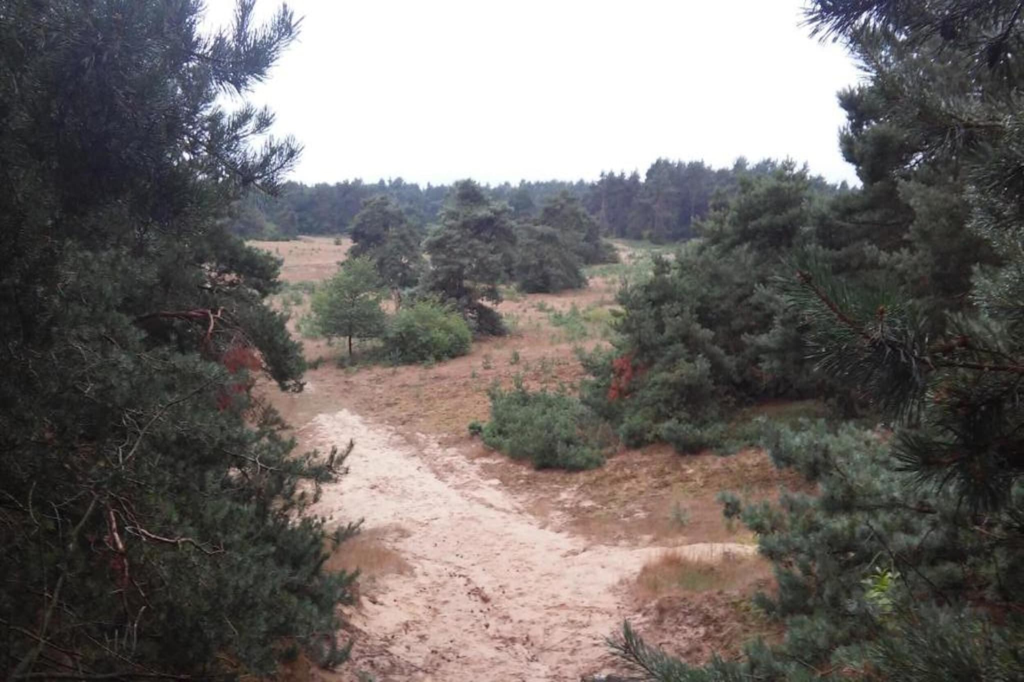 Landgoed De IJsvogel 12-Gebieden zomer 20km