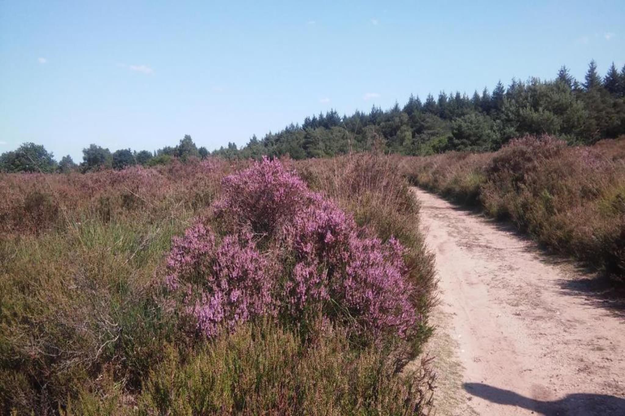 Landgoed De IJsvogel 12-Gebieden zomer 20km