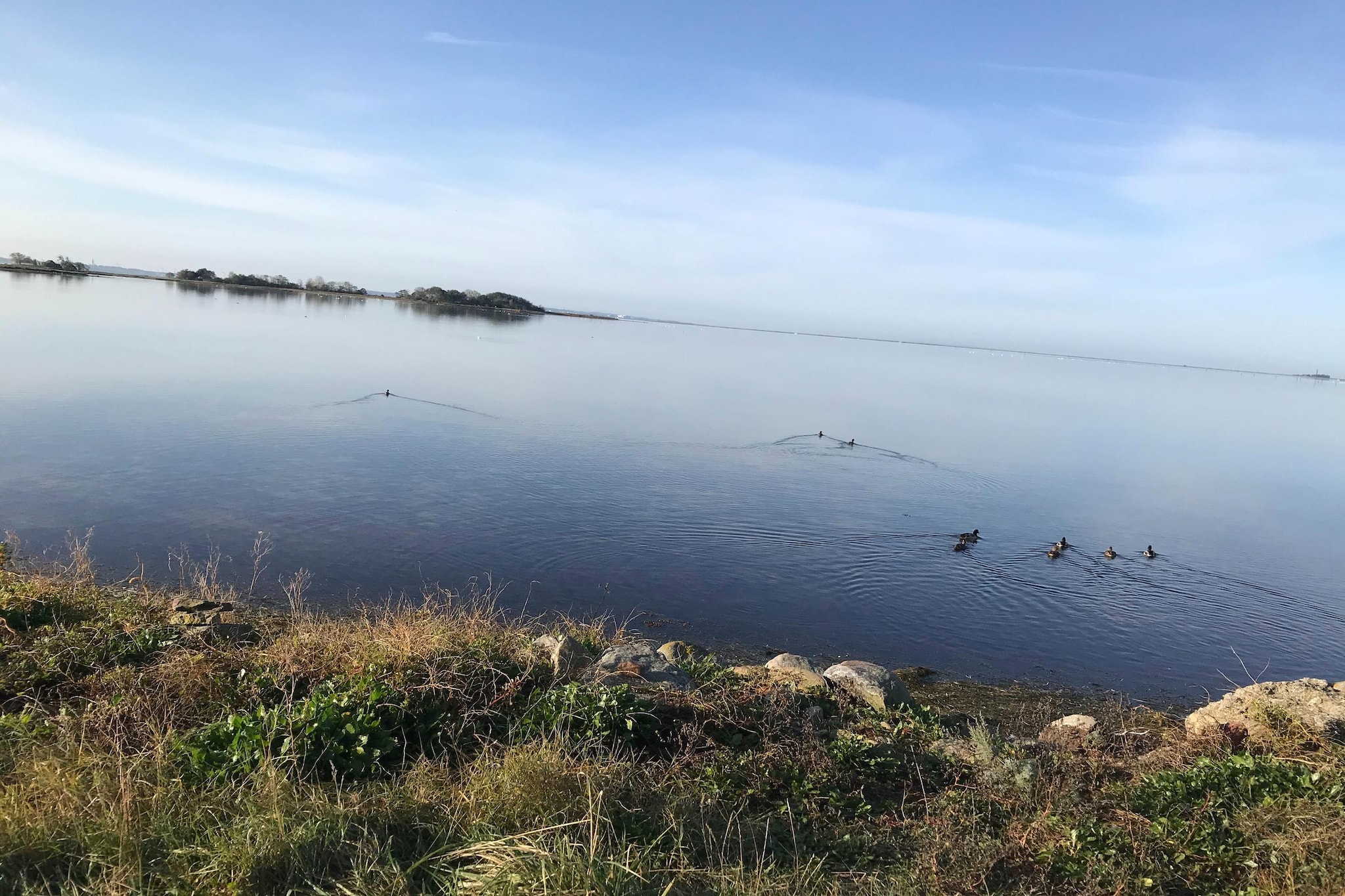 Haus am Meer-Gebiete Sommer 1 km