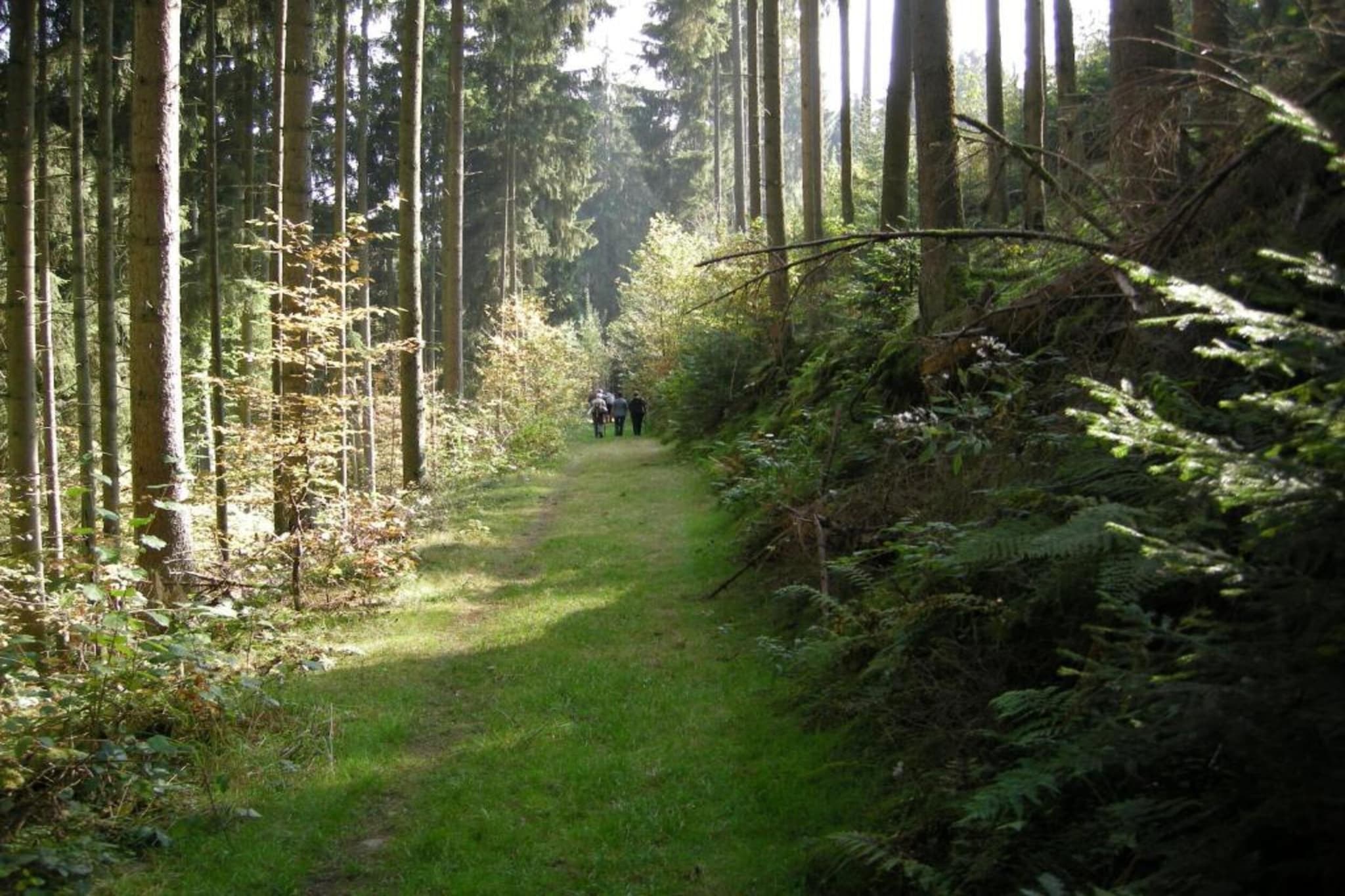 Bungalow Luxus Typ B Campingpark Eifel-Gebieden zomer 20km