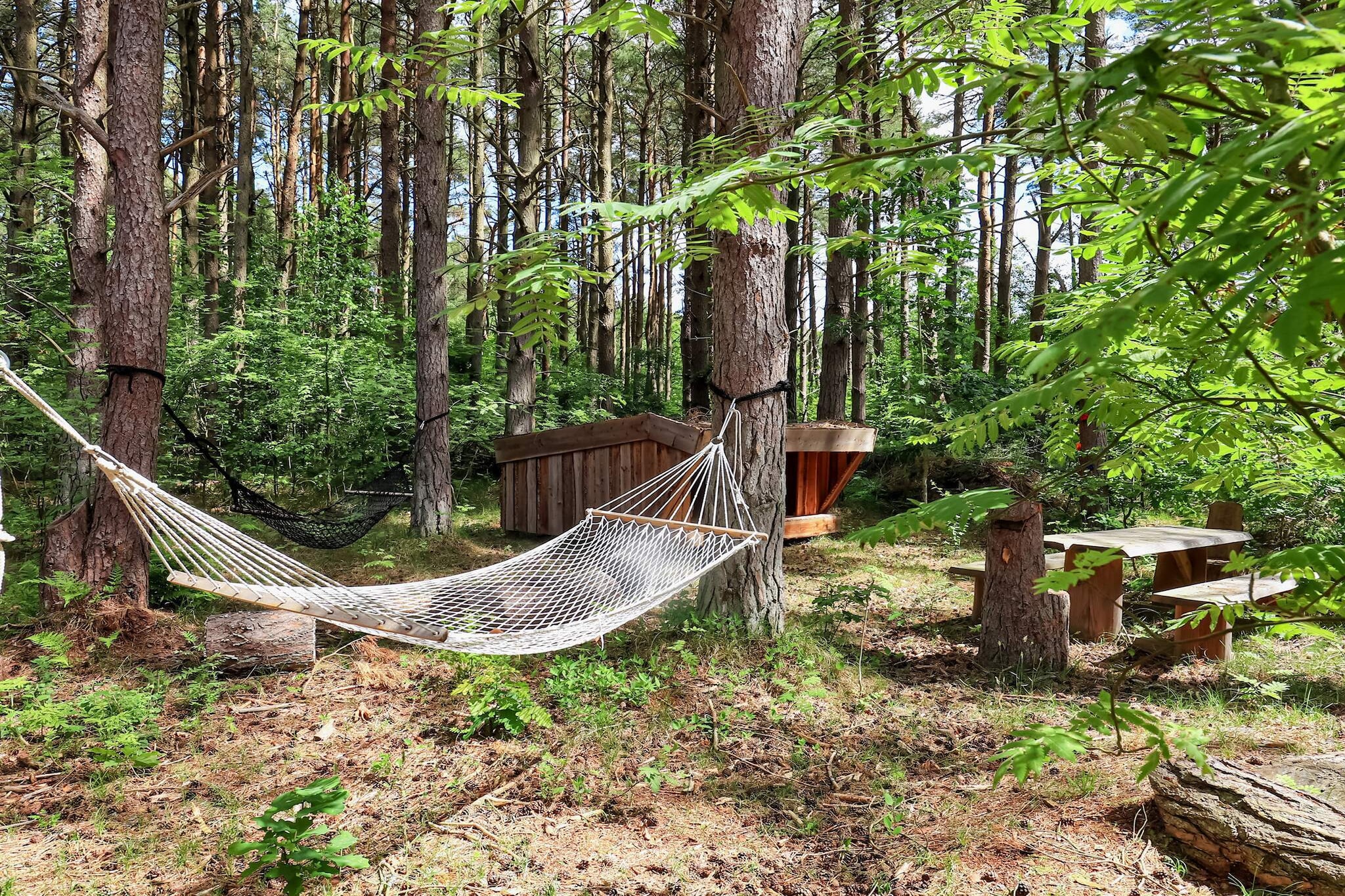 5 etoiles maison de vacances a Læsø-By Traum-Vue