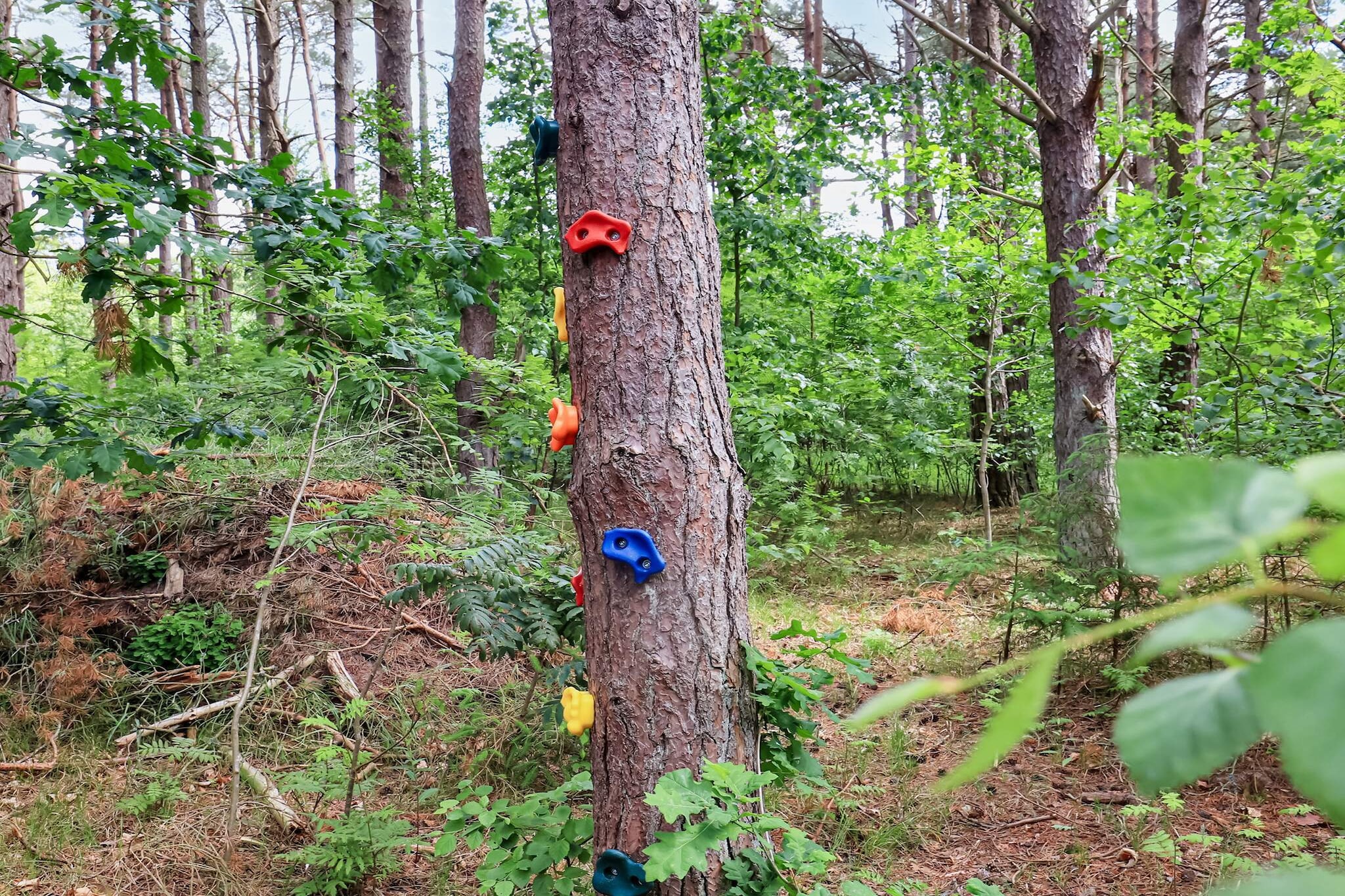 5 etoiles maison de vacances a Læsø-By Traum-Vue