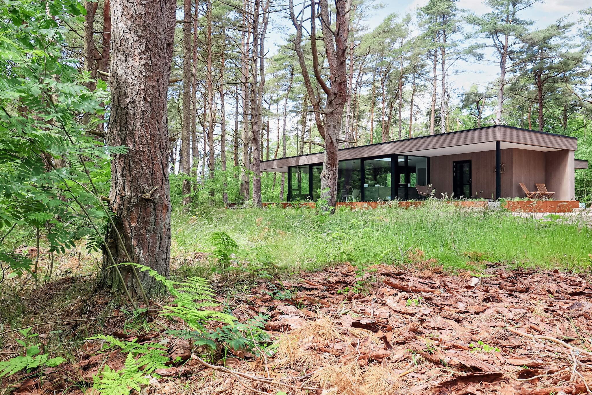 5 Sterne Ferienhaus in Læsø-By Traum - Aussicht