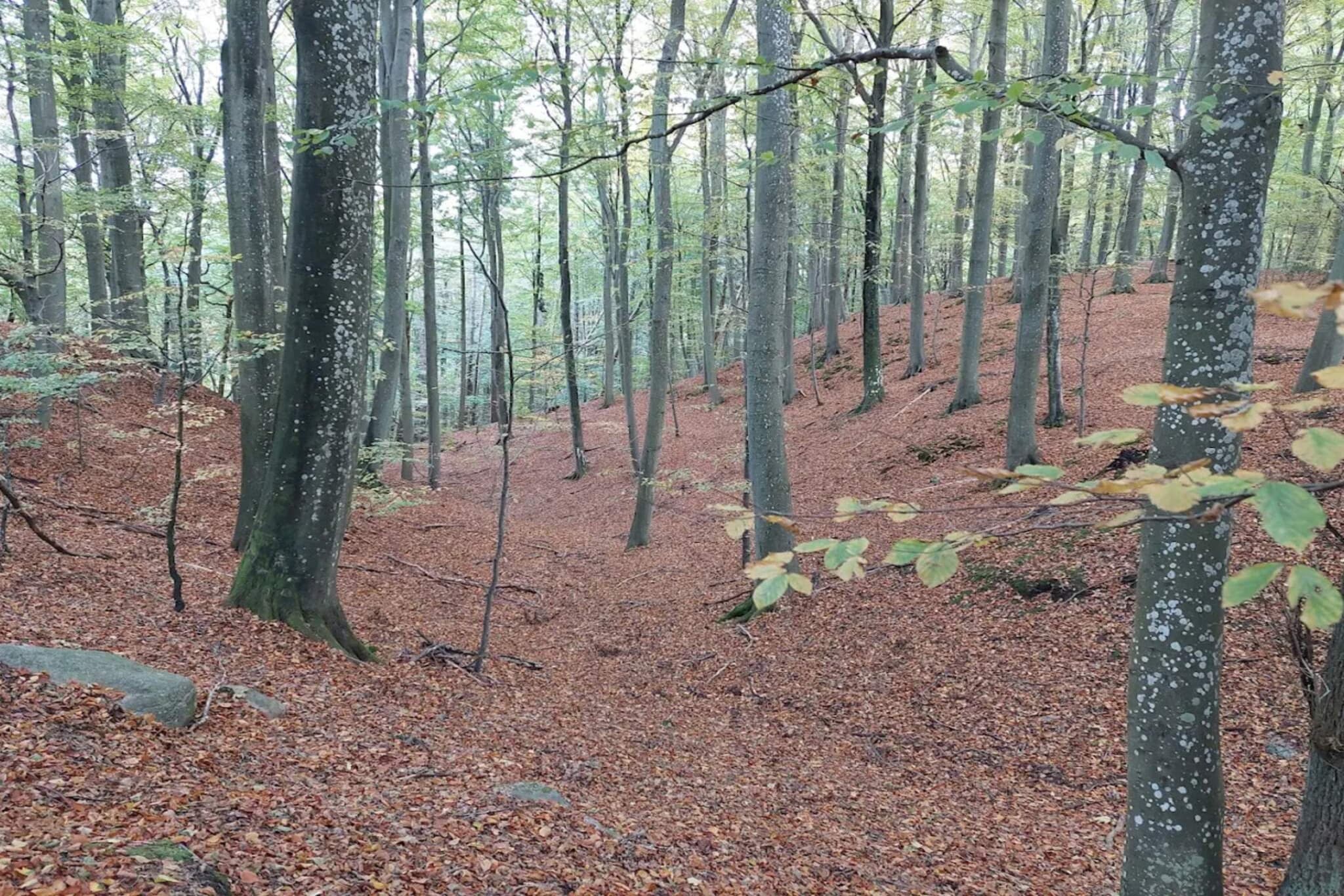 6 person holiday home in Hornbæk-By Traum