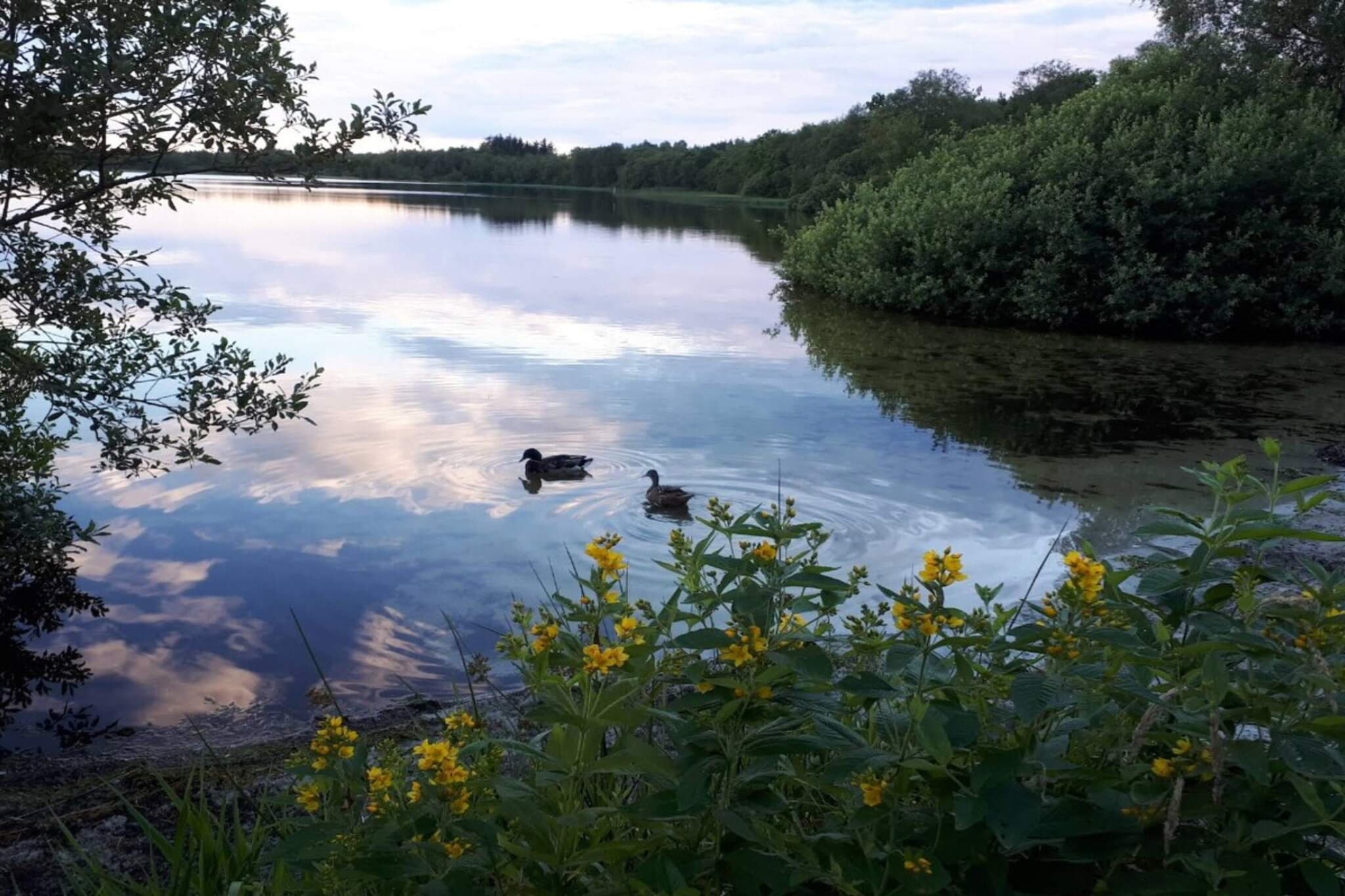 4 Sterne Ferienhaus in Ansager-By Traum-Wasserblick
