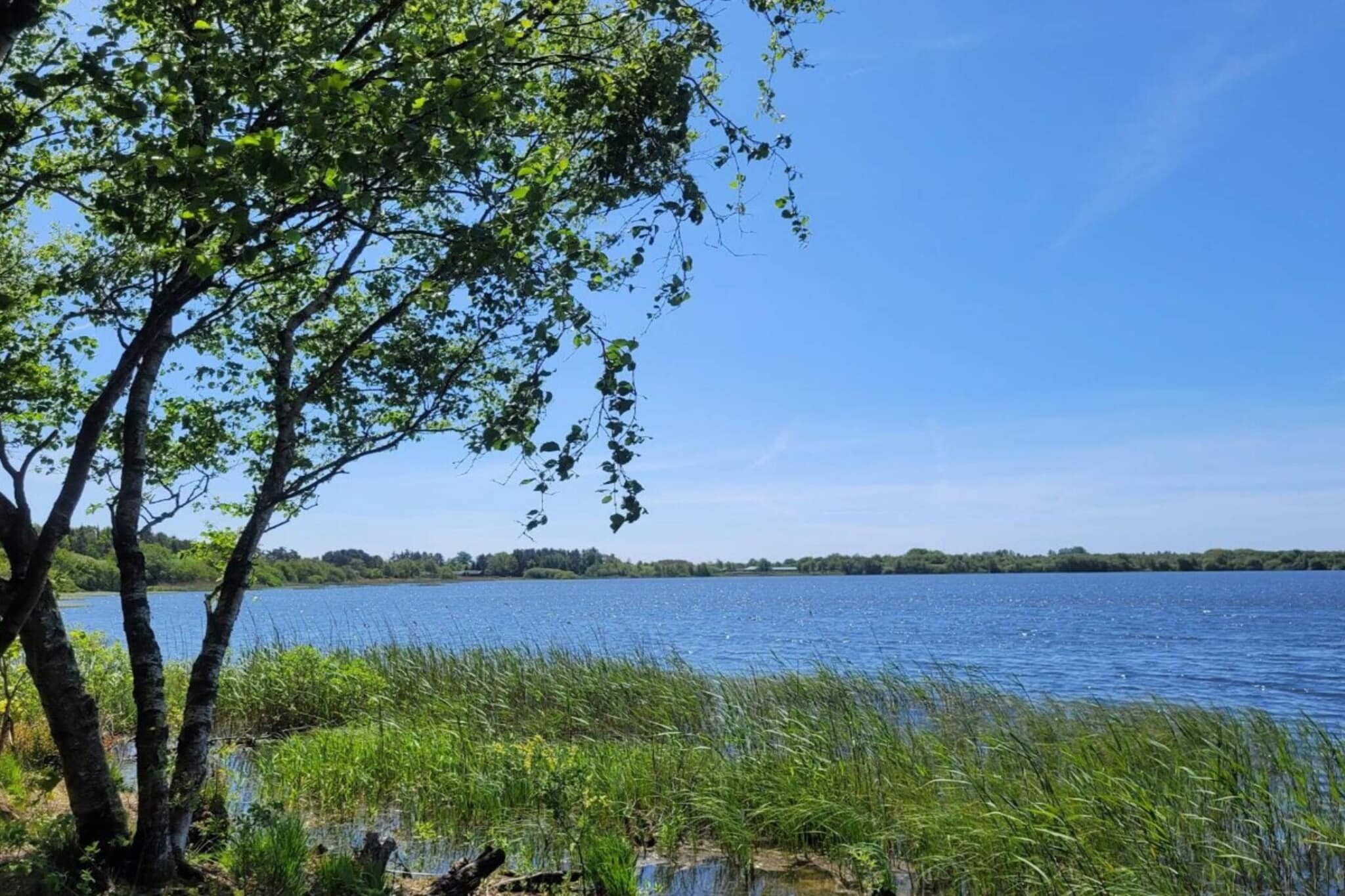4 Sterne Ferienhaus in Ansager-By Traum-Wasserblick