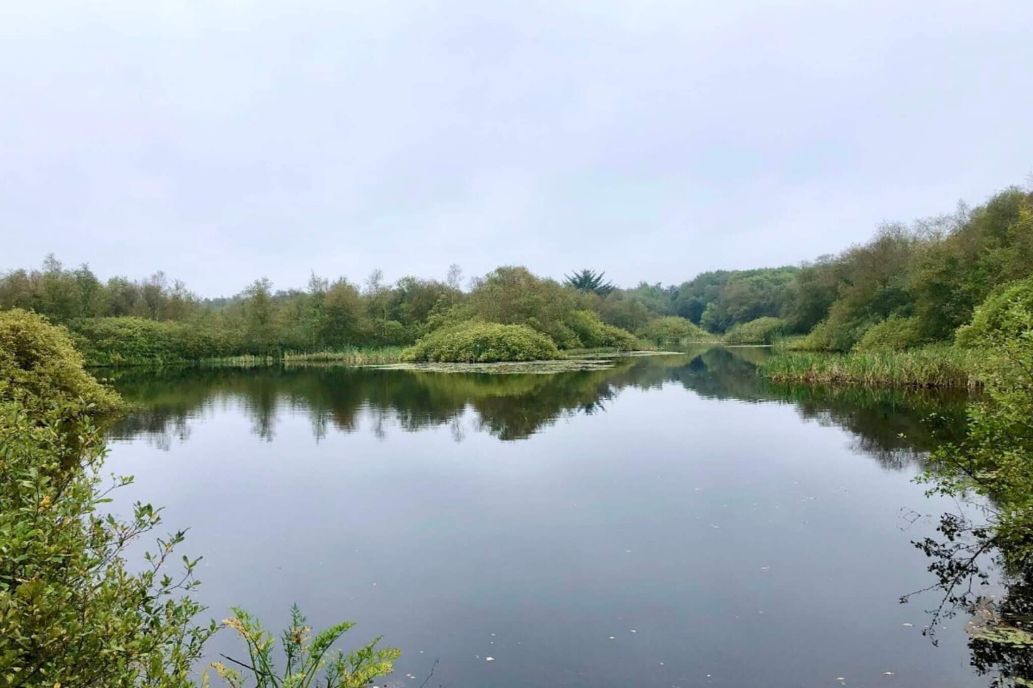 4 Sterne Ferienhaus in Ansager-By Traum-Wasserblick