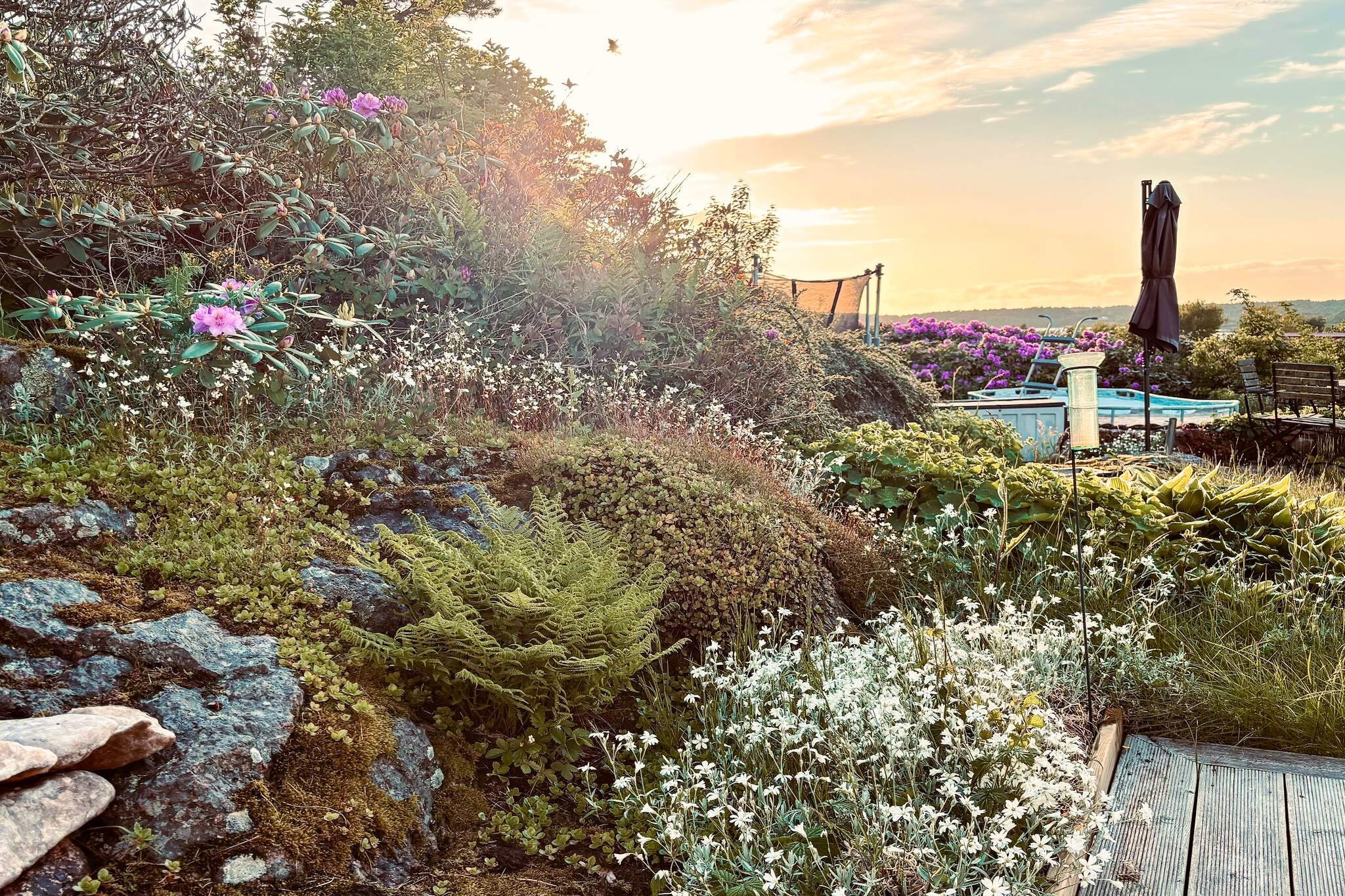 4 sterren vakantie huis in VARBERG-By Traum-Buitenlucht