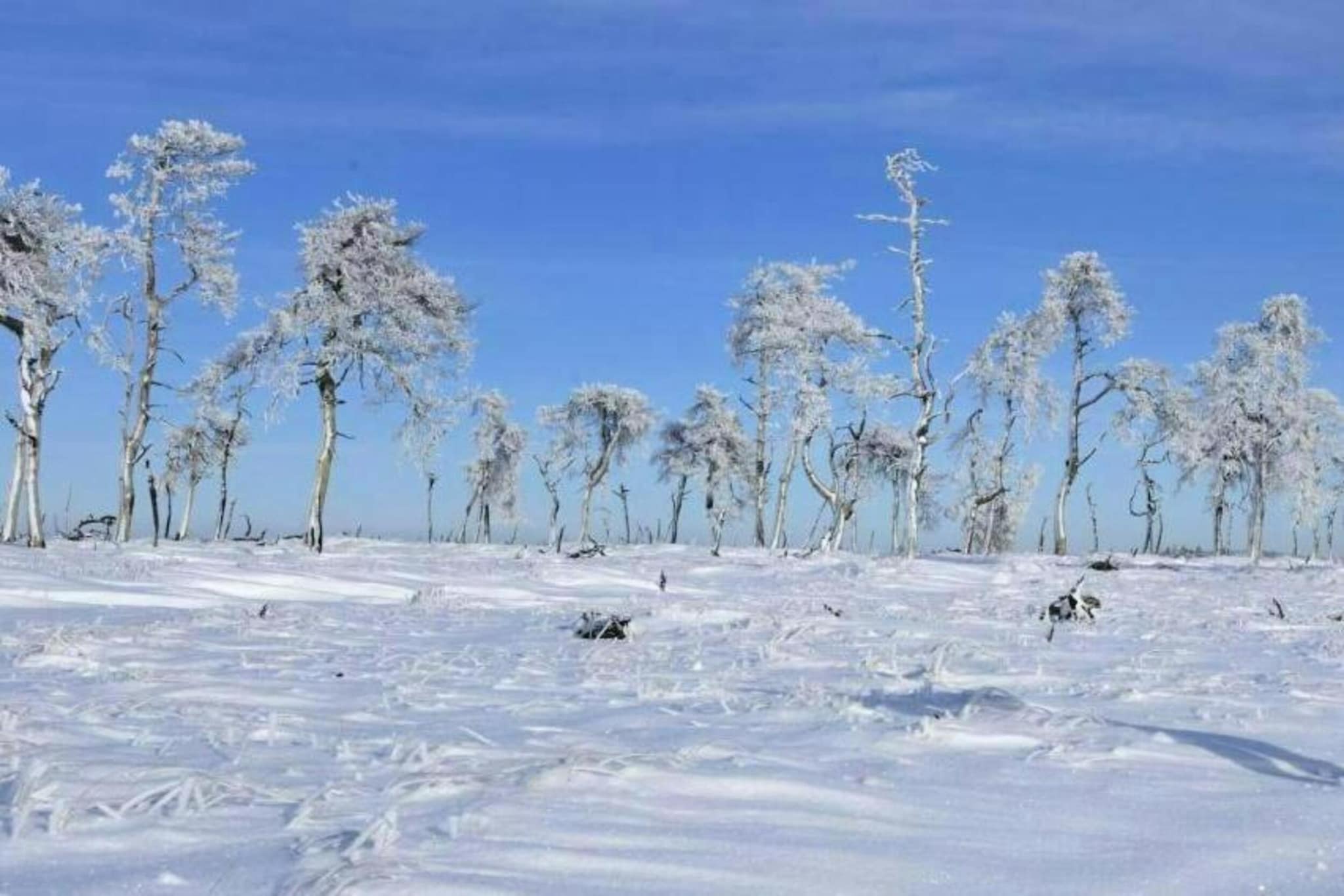Copine-Gebied winter 20km