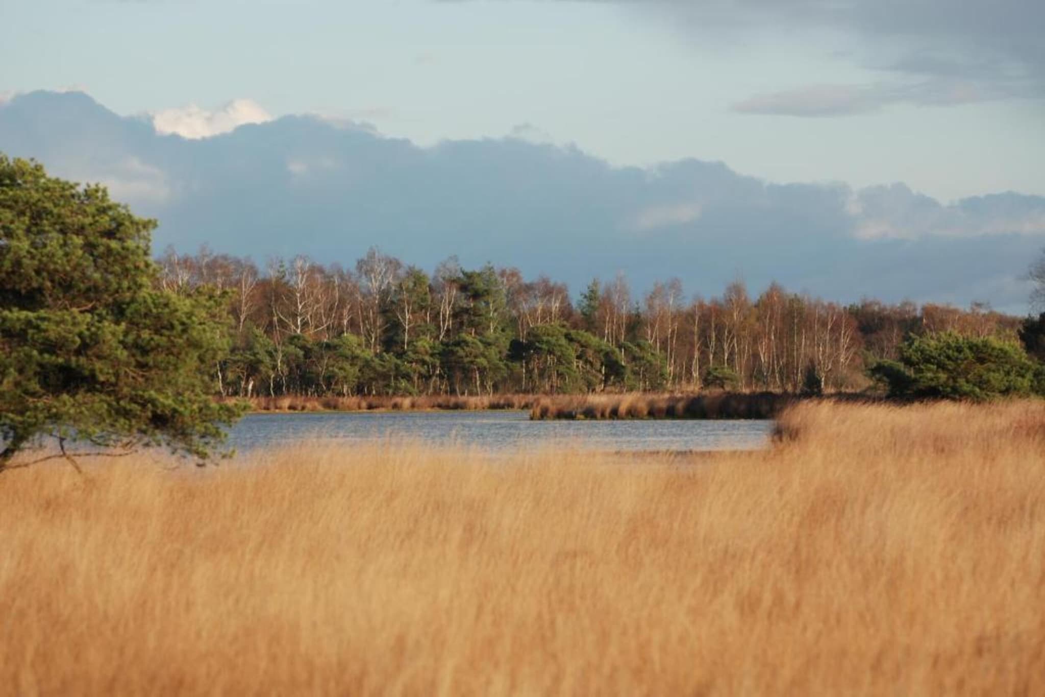 Vakantiepark Latour 4-Areas summer 20km