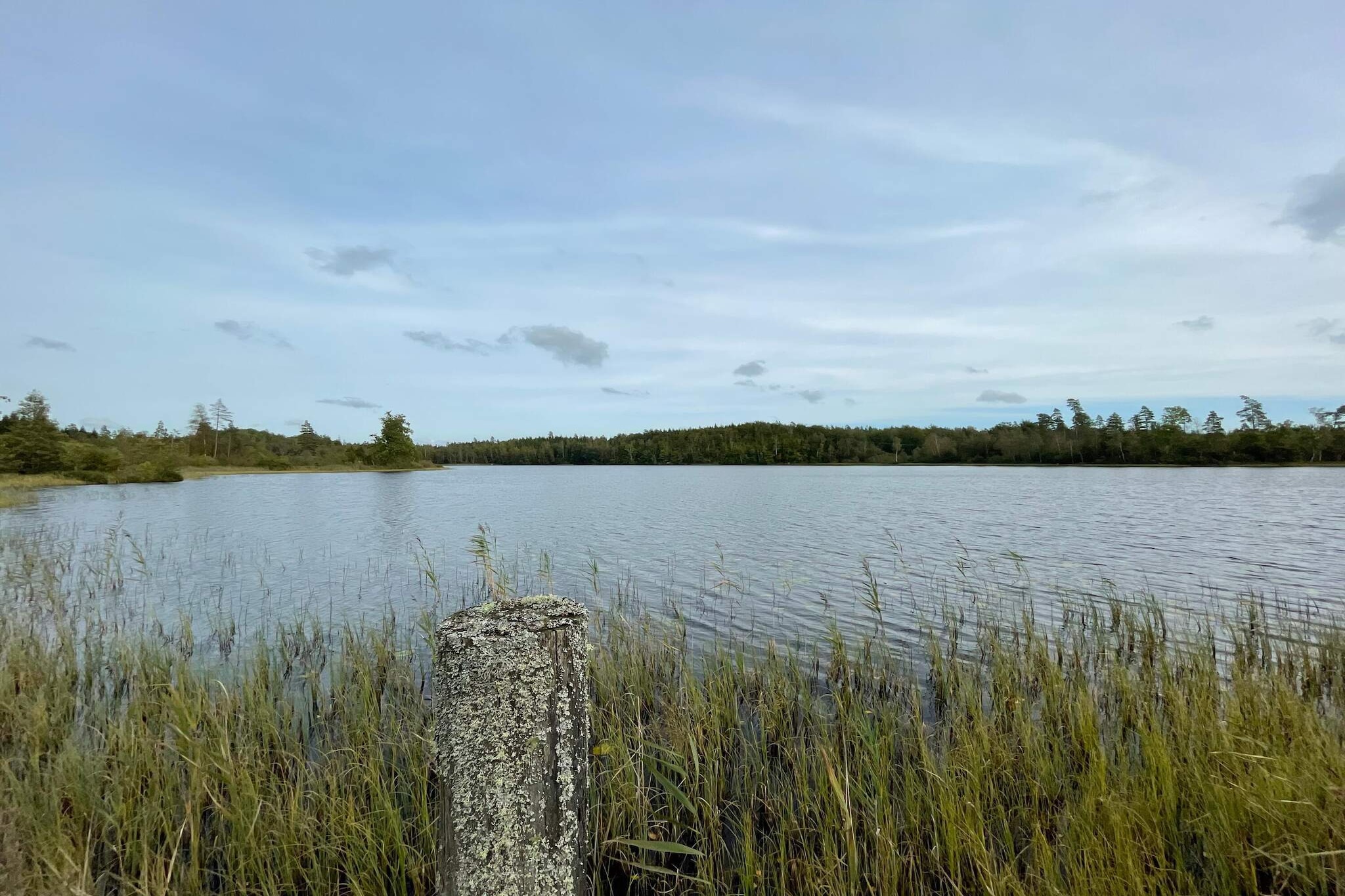 6 persoons vakantie huis in ASARUM-By Traum - Buitenlucht
