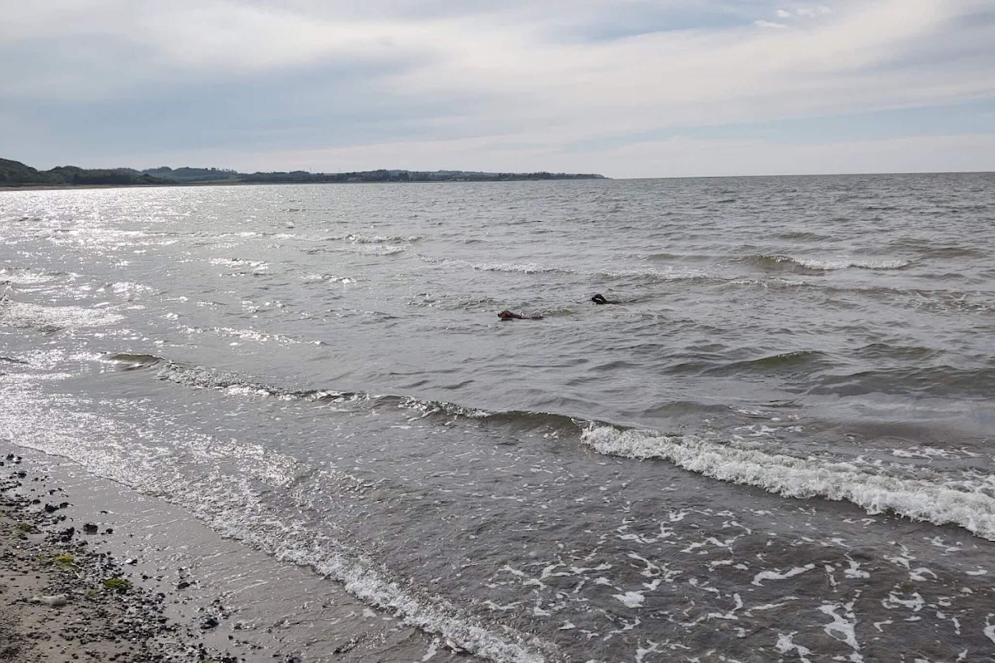 Gerestaureerde Cottage bij Toftum -- By Traum Ferienwohnungen-Waterzicht