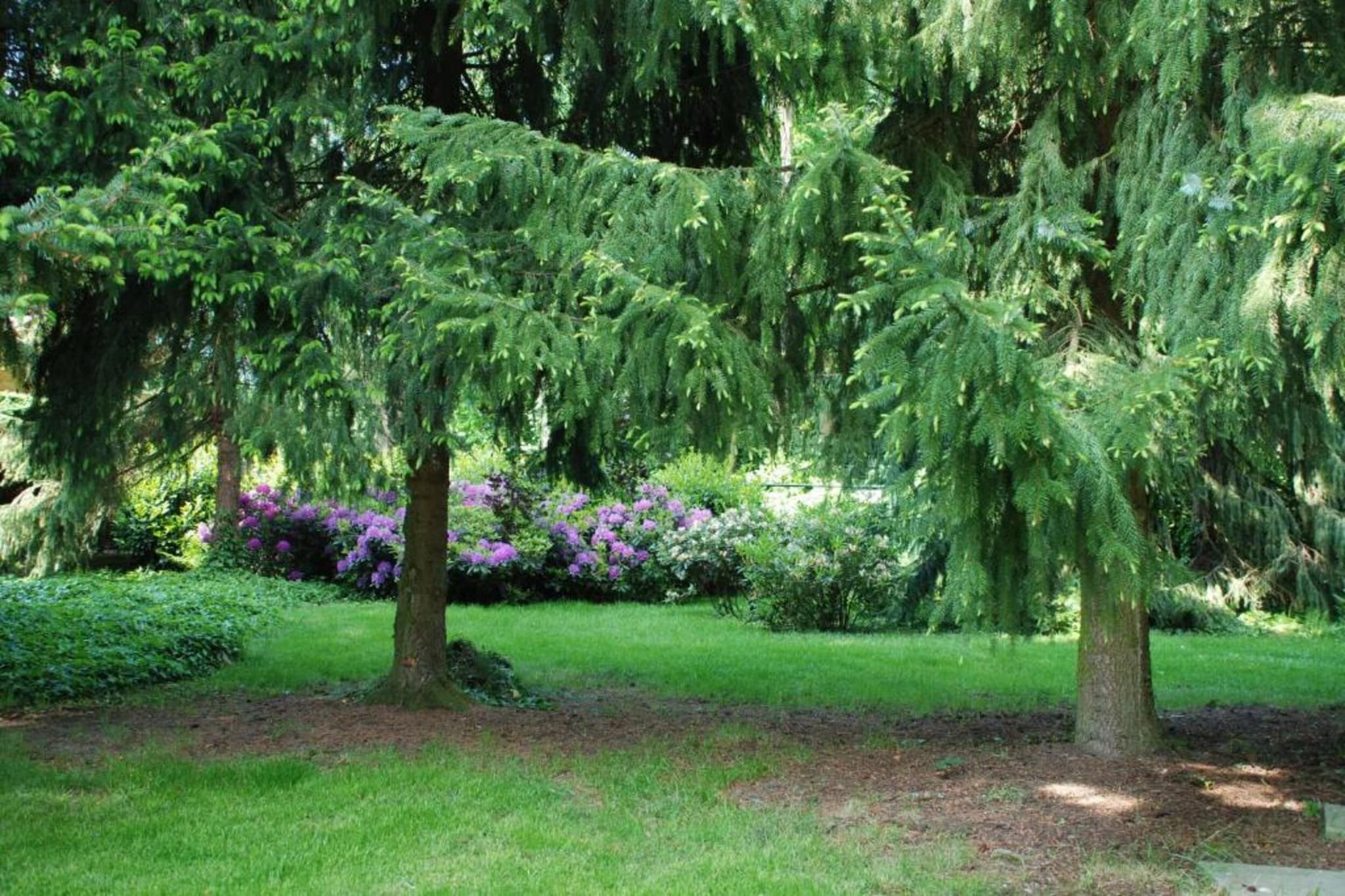 Vakantiepark Klein Vink 24-Gebieden zomer 20km