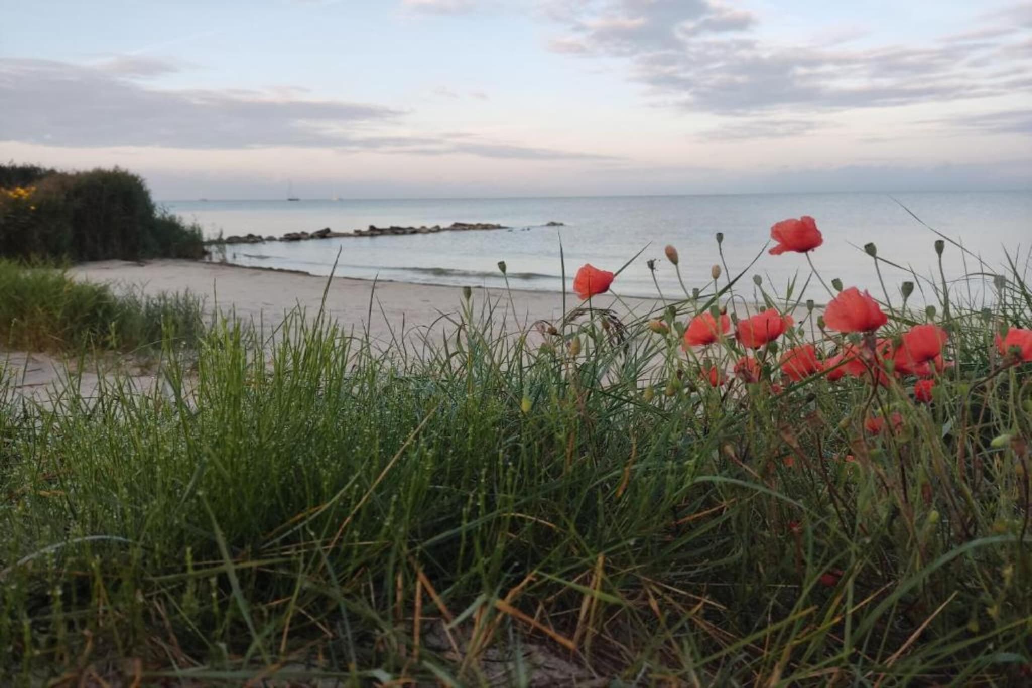 Appartement aan het meer in Heeg-Gebieden zomer 5km