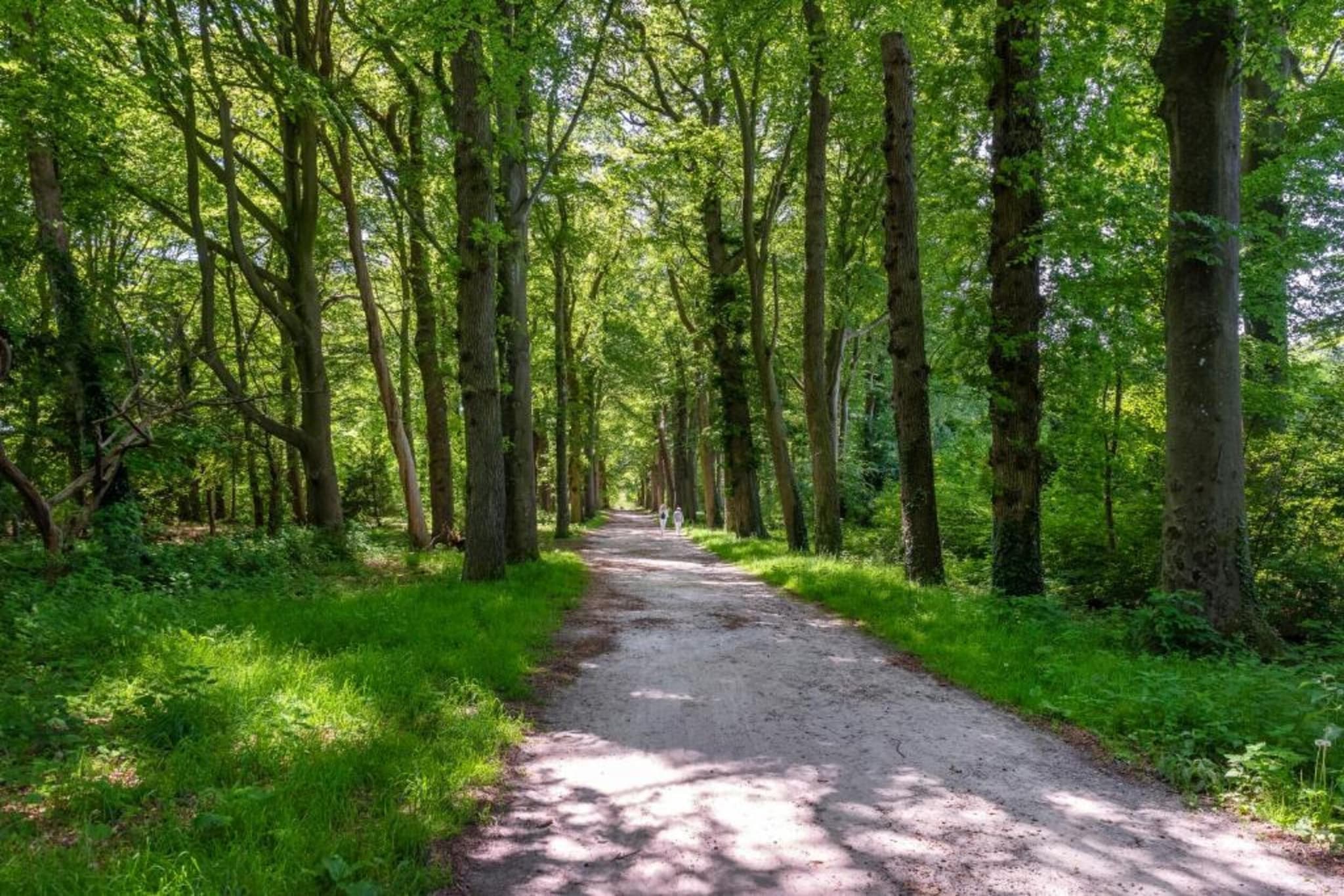Appartement aan het meer in Heeg-Gebieden zomer 20km