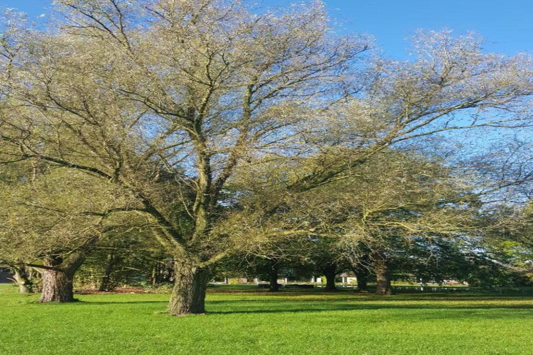 Parc de Kievit 22-Gebieden zomer 20km