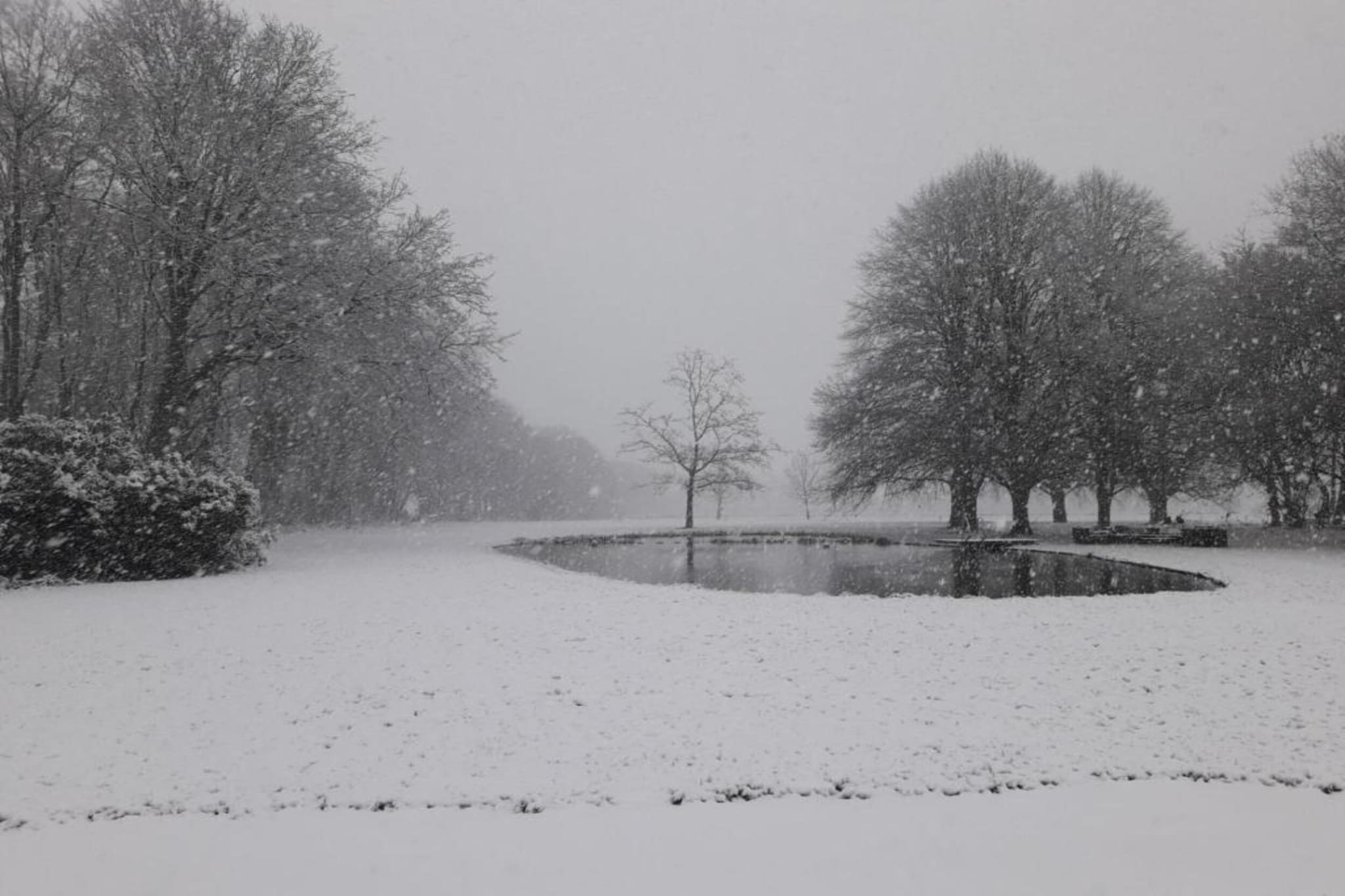 Parc de Kievit 22-Gebied winter 20km