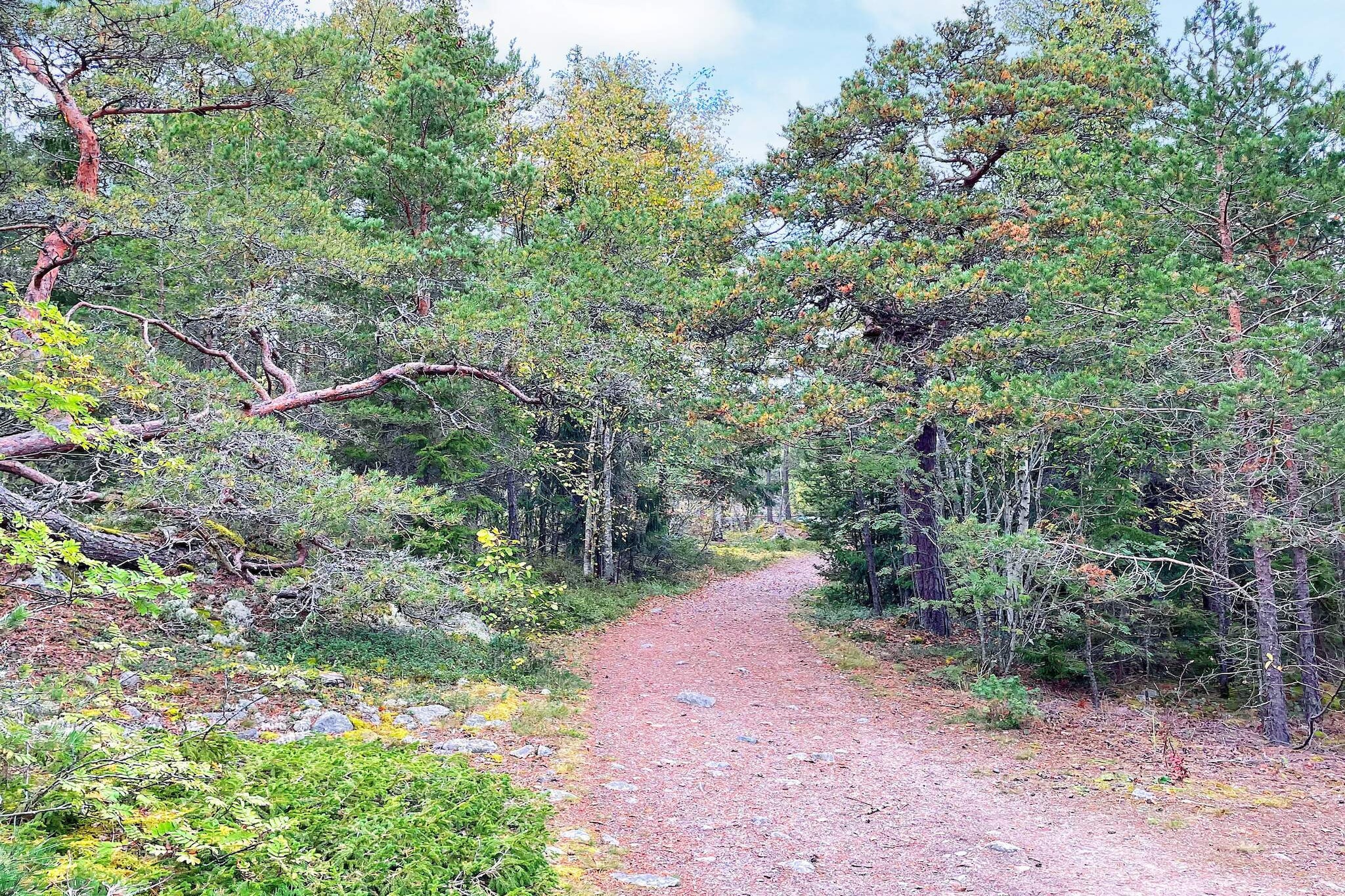 4 Sterne Ferienhaus in VÄDDÖ-By Traum - Nicht zugeordnet