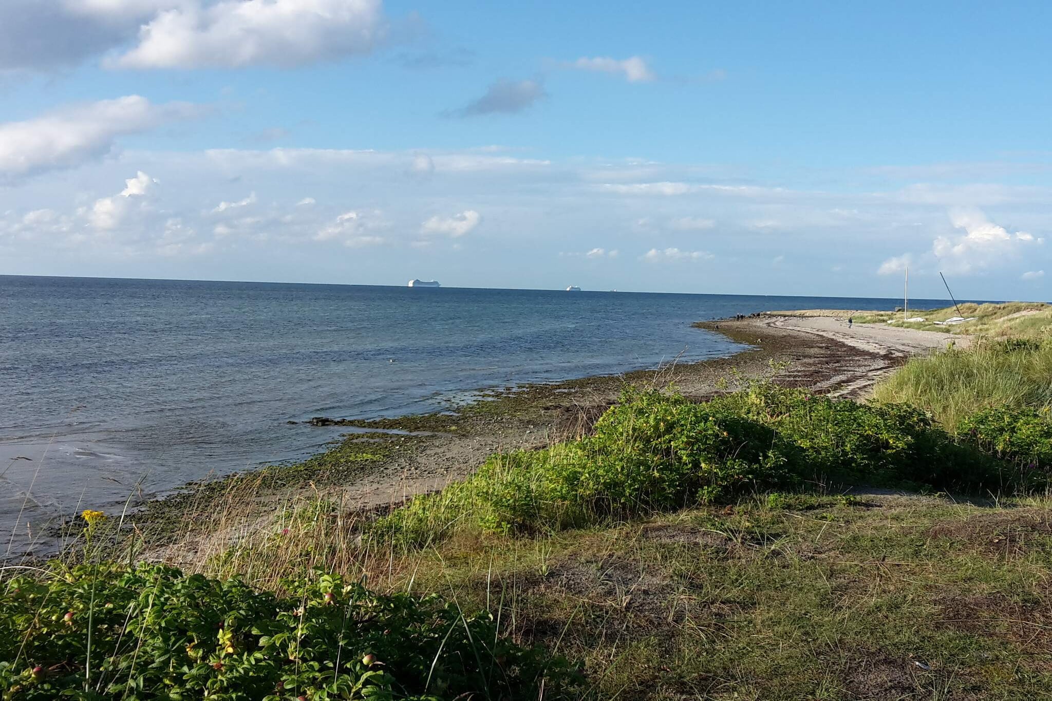 Moderne Wasservilla am Yachthafen - Water view