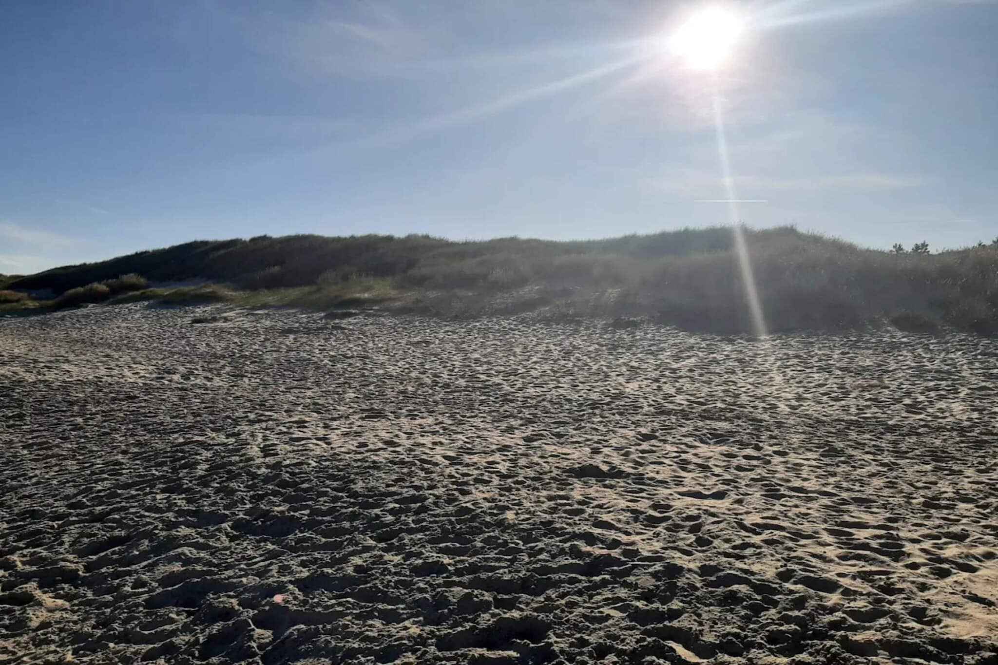 5 sterren vakantie huis in Ålbæk-By Traum-Niet-getagd