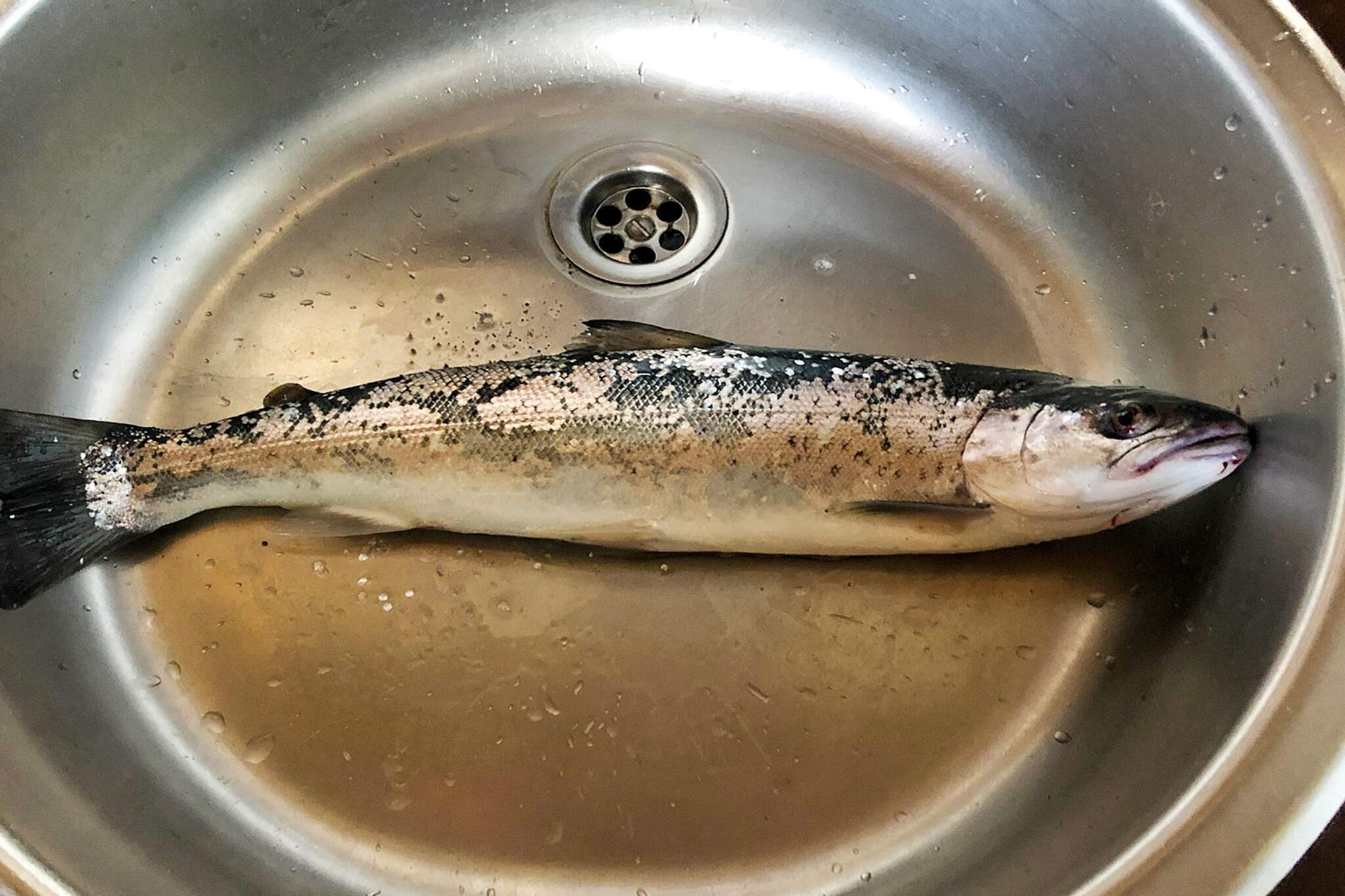 6 person holiday home in Grenaa-By Traum