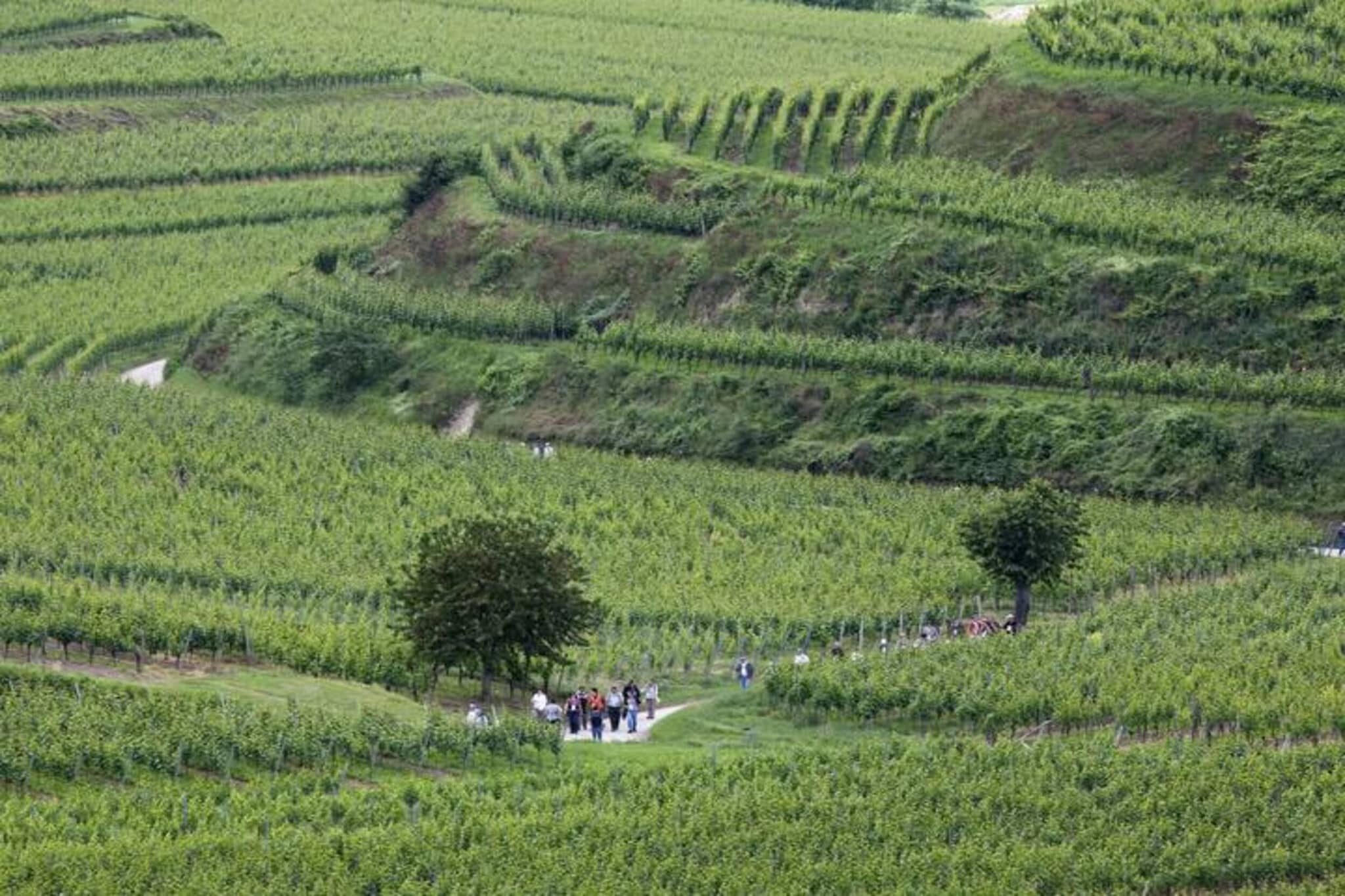 Monet-Gebieden zomer 20km