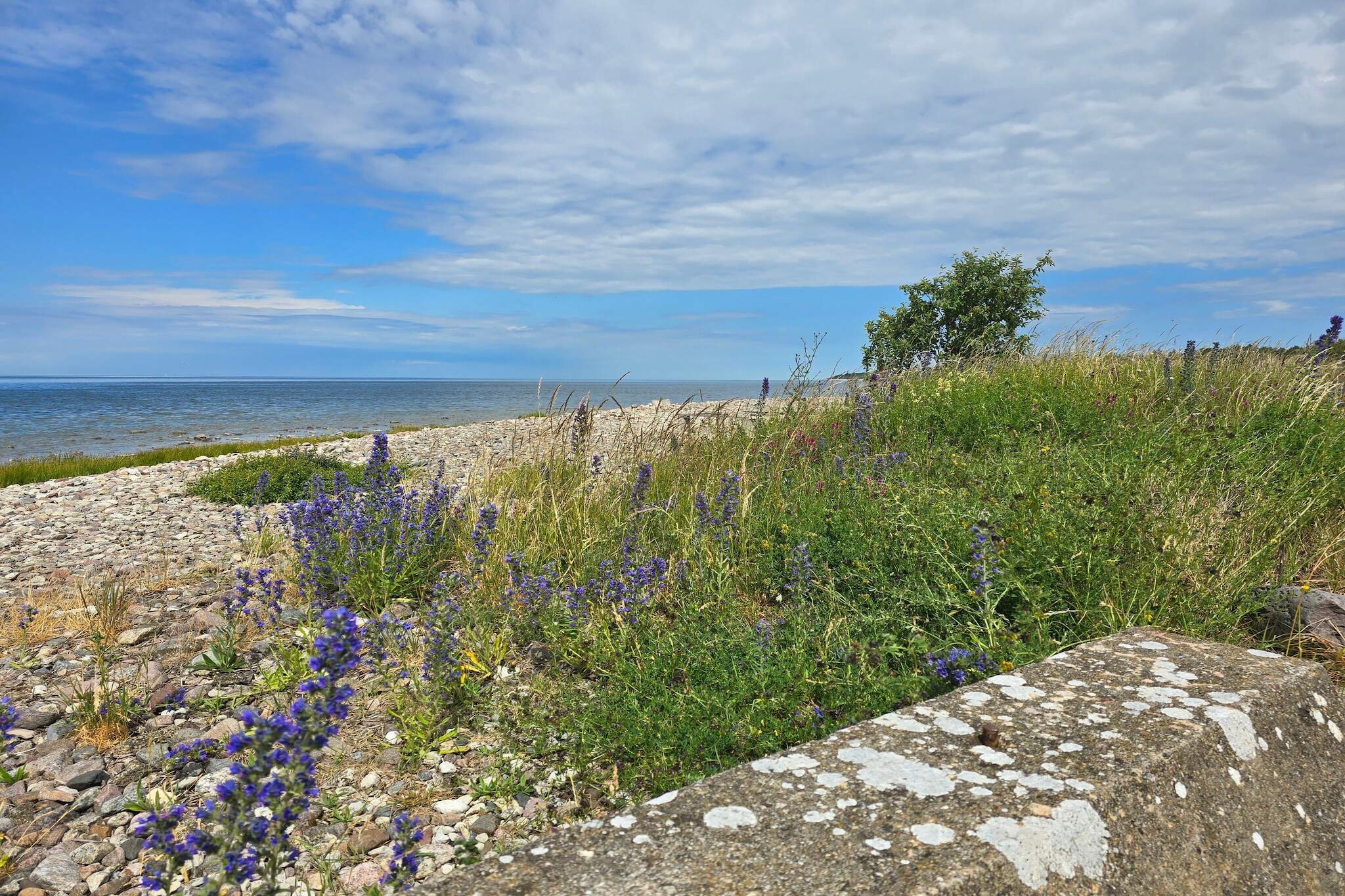 4 etoiles maison de vacances a GOTLANDS TOFTA