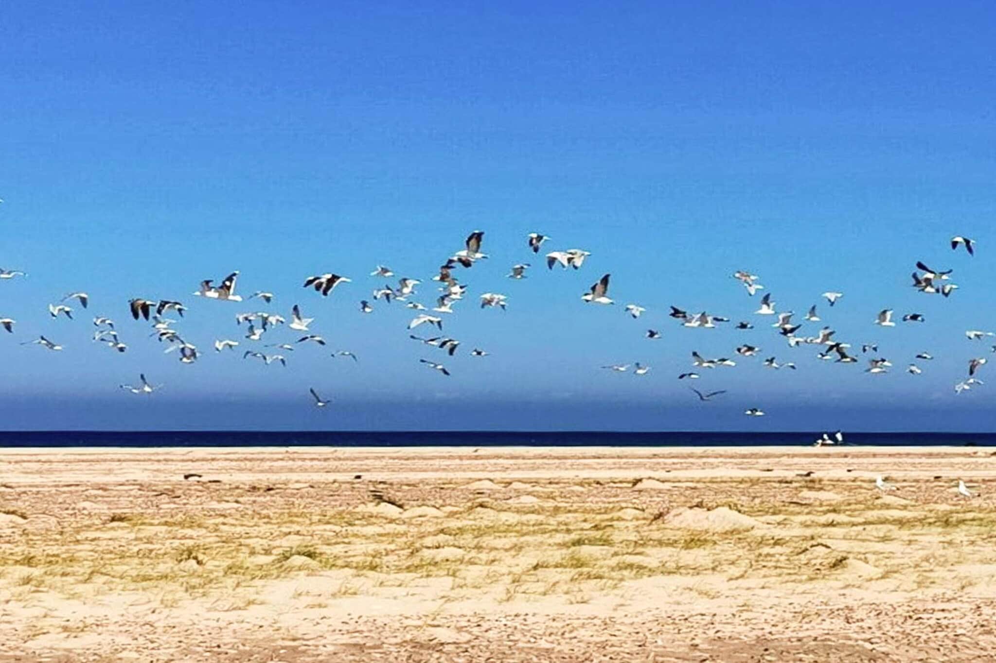 5 etoiles maison de vacances a Skagen-By Traum