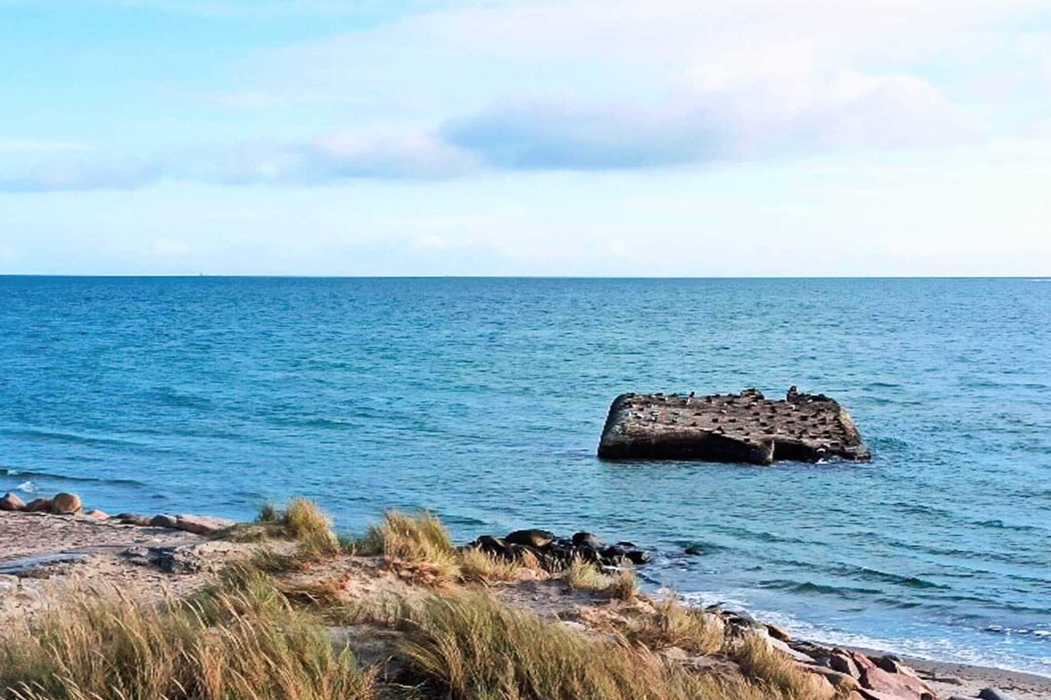 5 etoiles maison de vacances a Skagen-By Traum - Non tagué