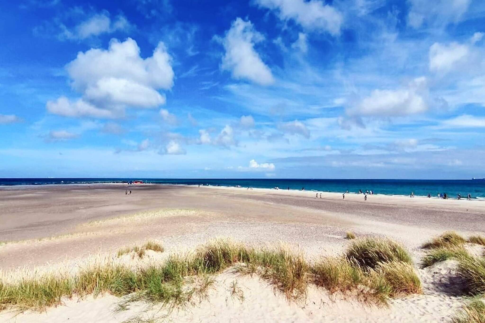 5 etoiles maison de vacances a Skagen-By Traum - Non tagué
