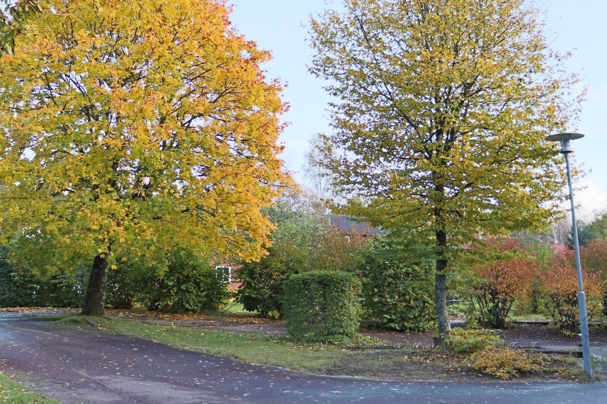 4 persoons vakantie huis in HYLTEBRUK-By Traum - Buitenlucht