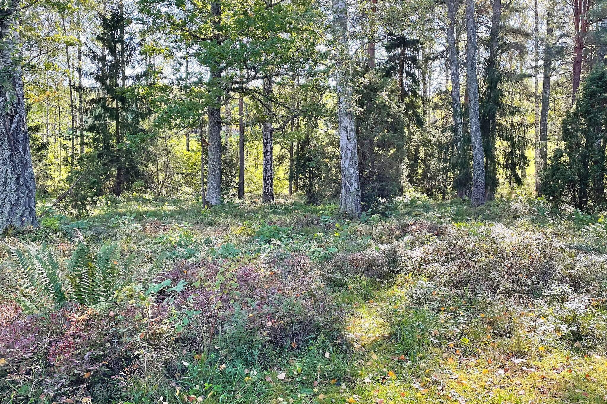 6 persoons vakantie huis in Vingåker-By Traum - Buitenlucht