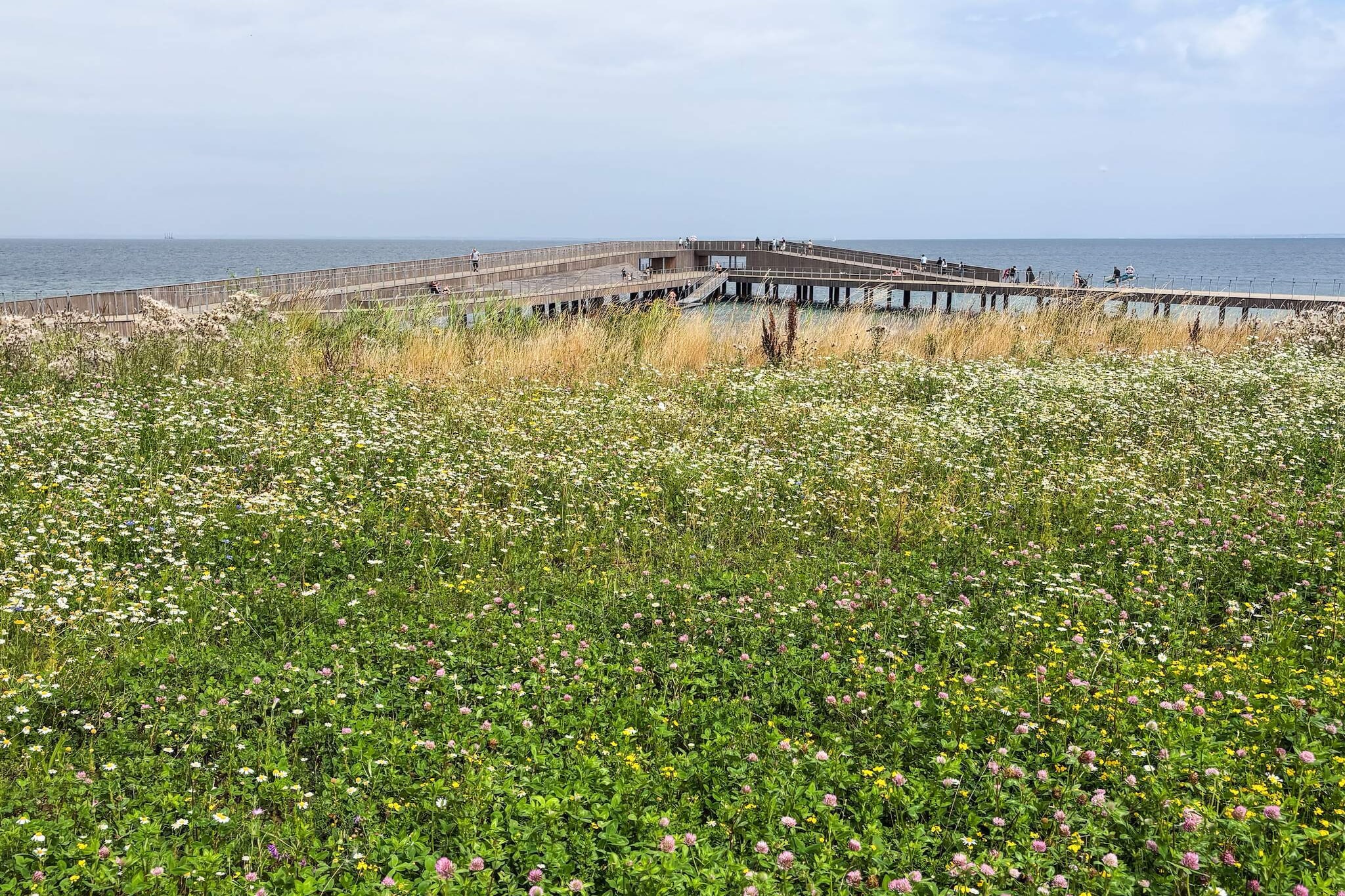 4 etoiles maison de vacances a Hadsund-By Traum - Vue sur l'eau
