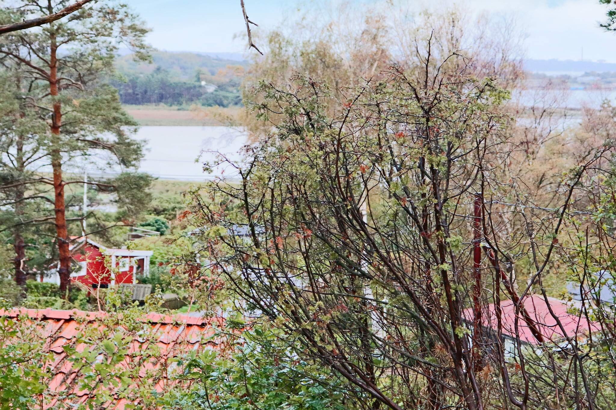 4 sterren vakantie huis in Frillesås-By Traum