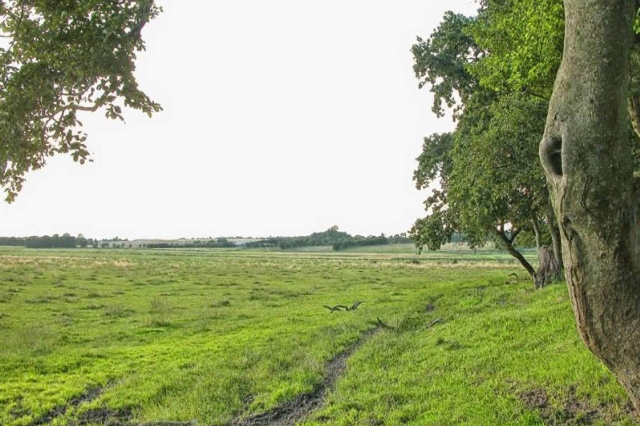 Vakantiehuis voor 5 personen in Geraa - Buitenlucht