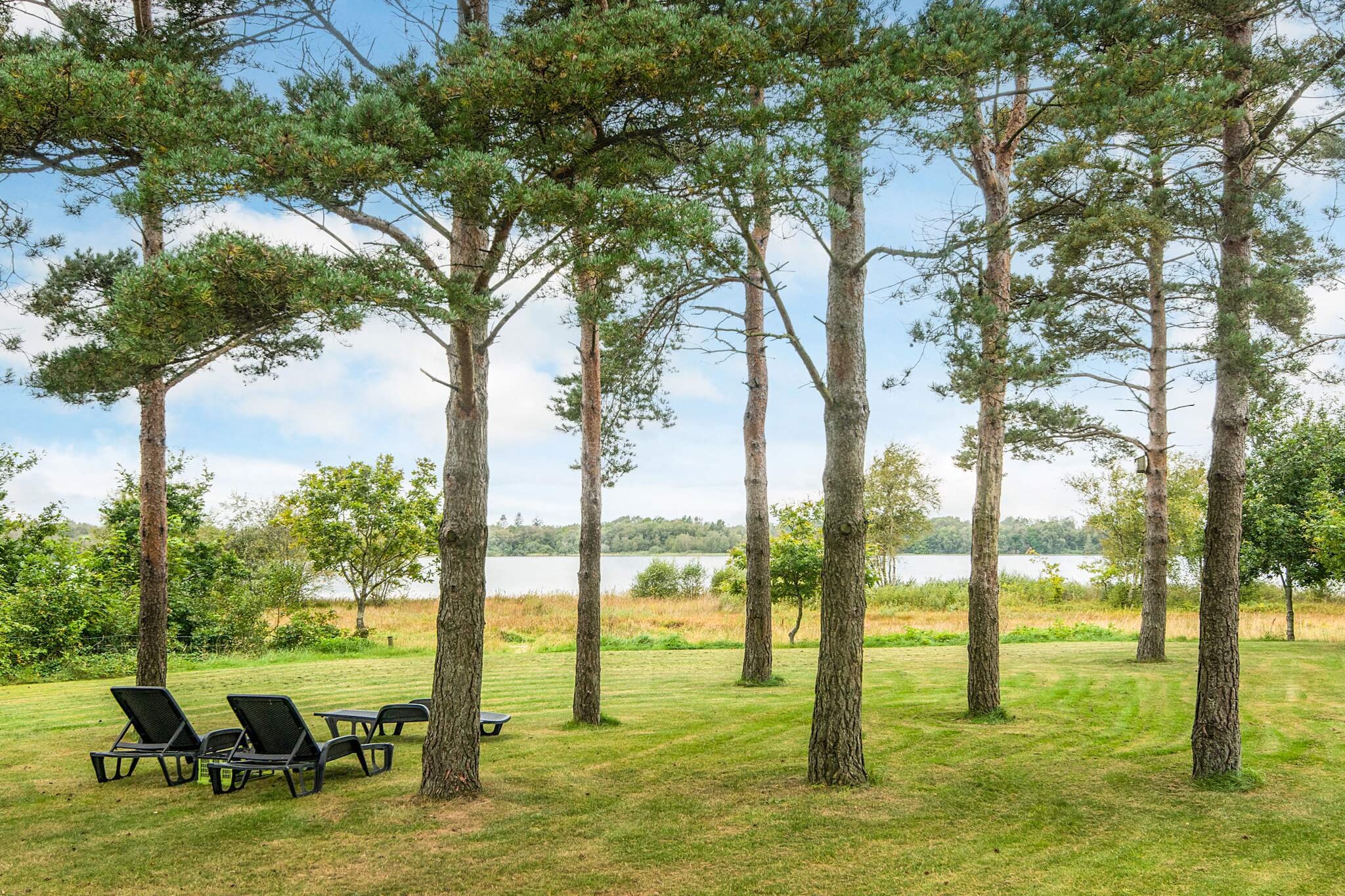 4 Sterne Ferienhaus in Ansager-By Traum