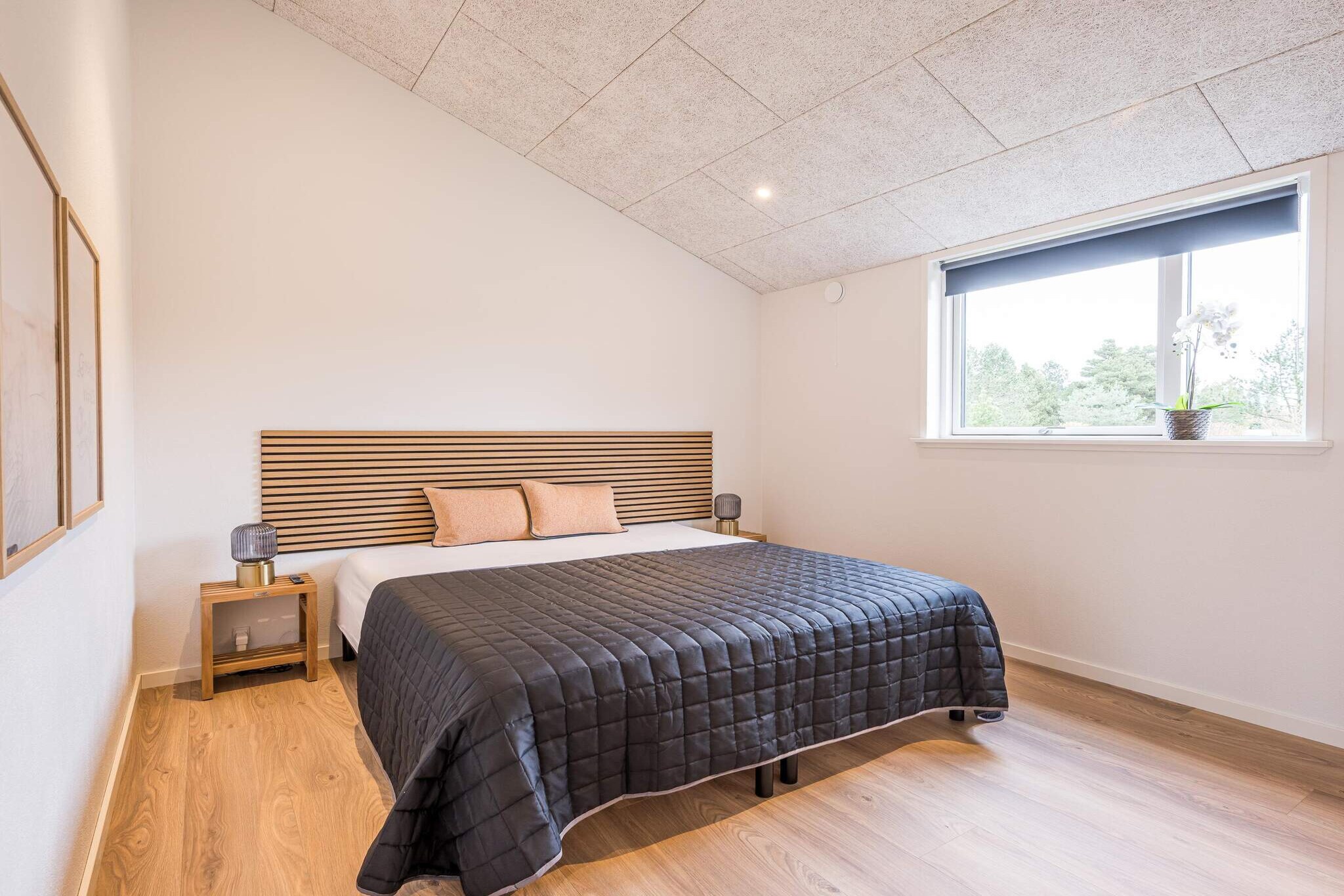 5 sterren vakantie huis in Blåvand