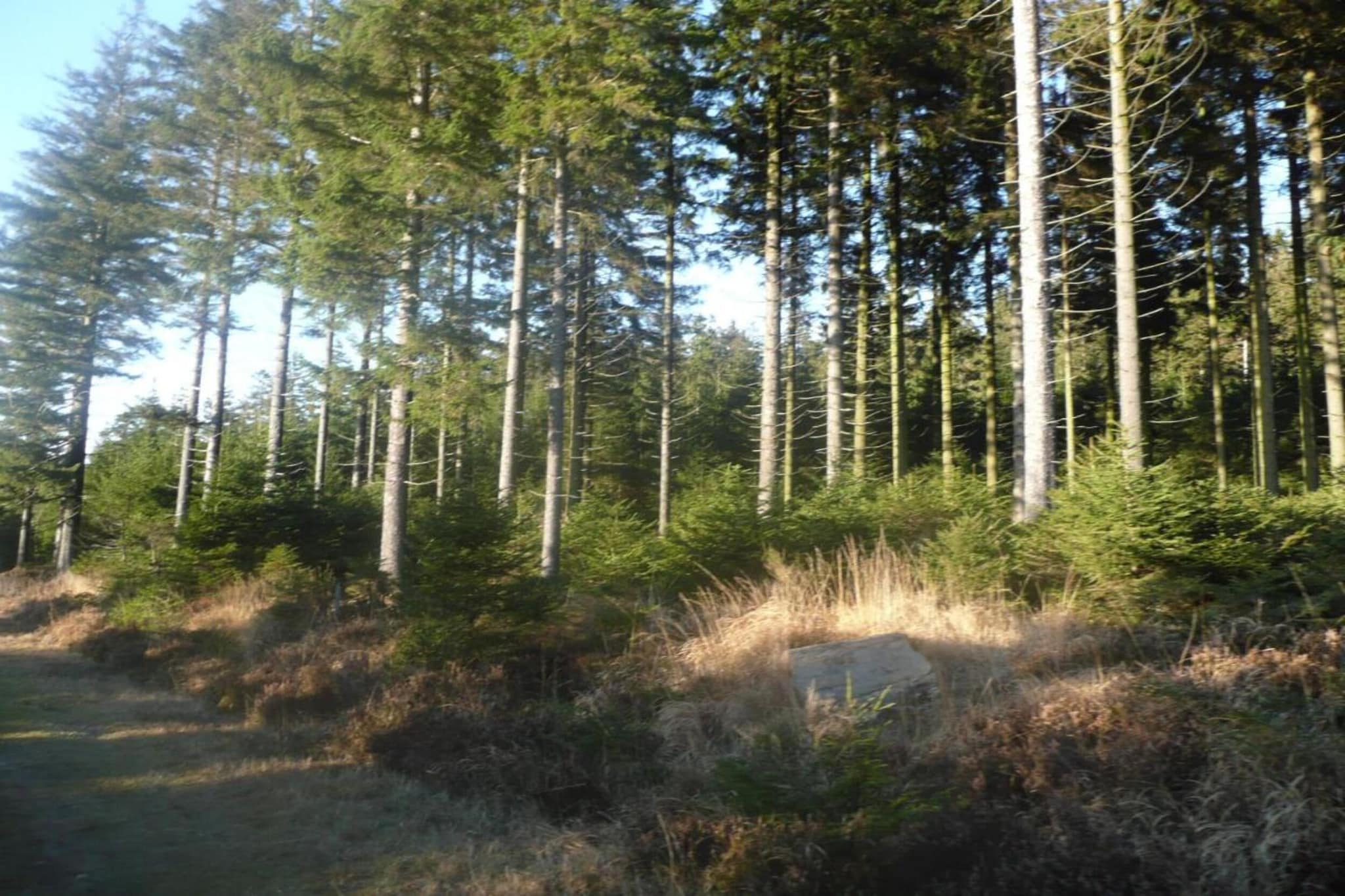 Magnifique studio pour 4 adultes avec Sauna-Gebieden zomer 20km