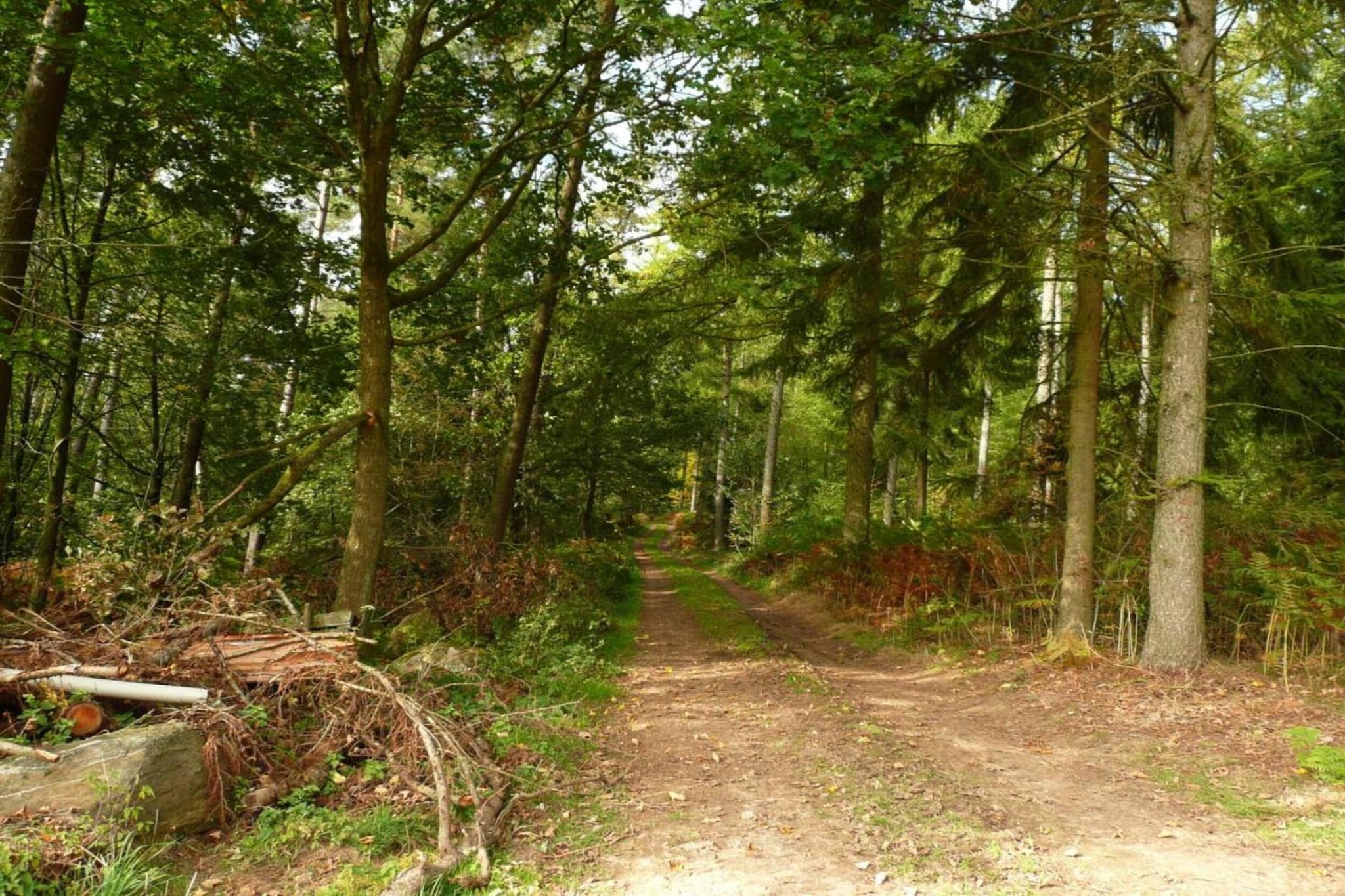Magnifique studio pour 4 adultes avec Sauna-Gebieden zomer 20km