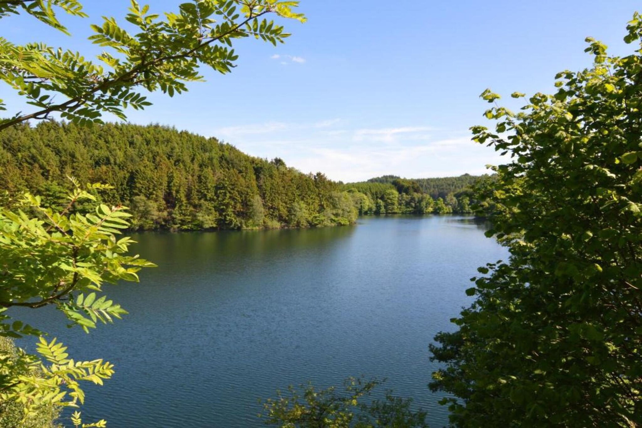 Magnifique studio pour 4 adultes avec Sauna-Gebieden zomer 20km