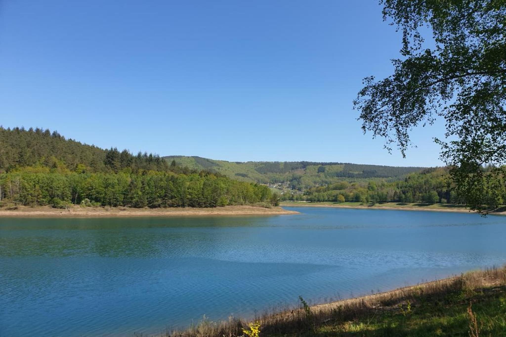 Magnifique studio pour 4 adultes avec Sauna-Gebieden zomer 20km