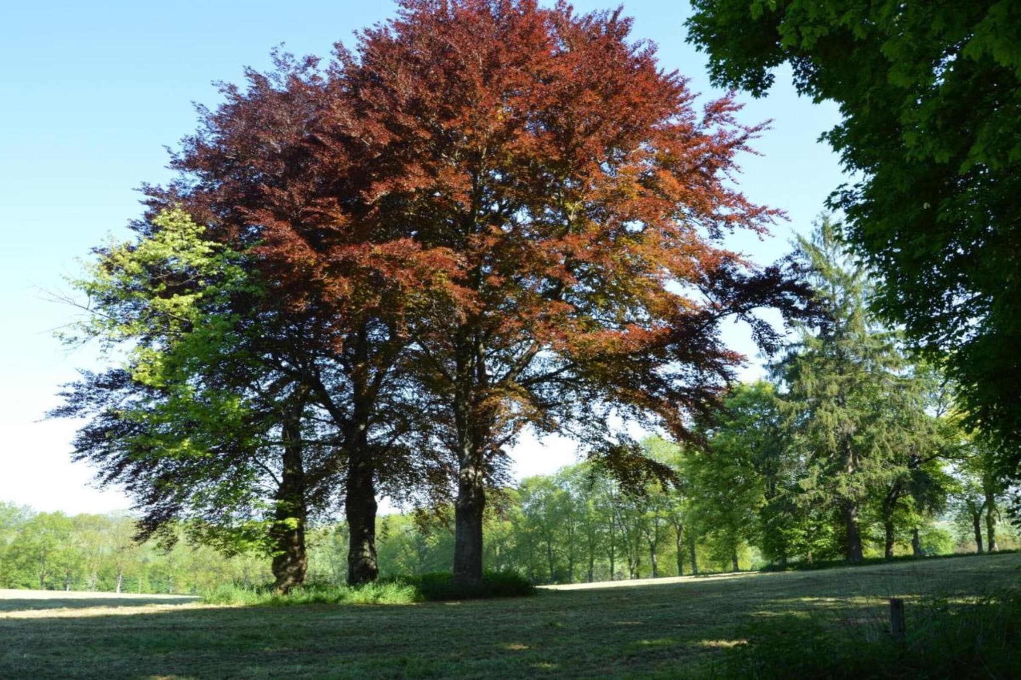 Magnifique studio pour 4 adultes avec Sauna-Gebieden zomer 20km